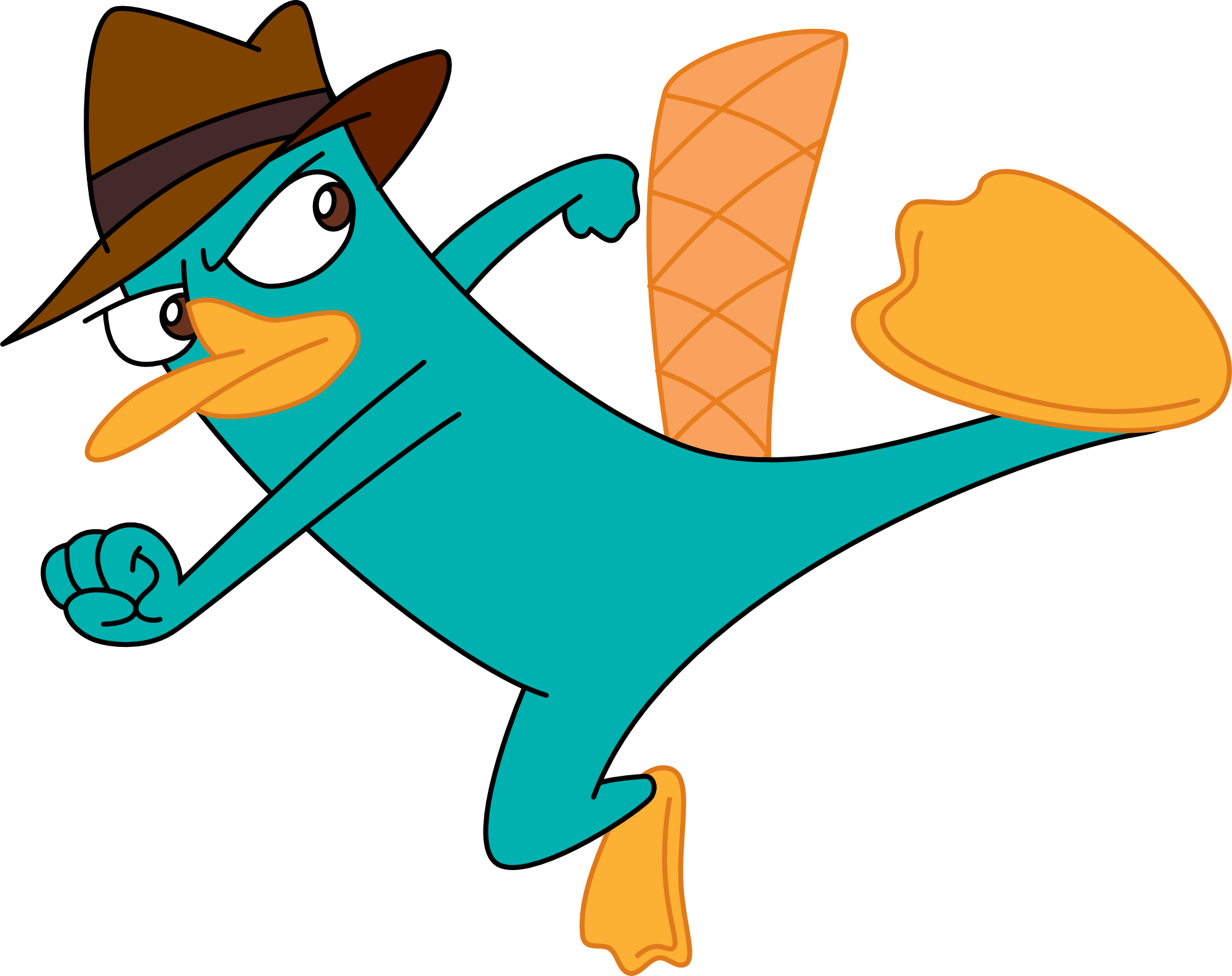 Perry The Platypus Pictures 19 Wide