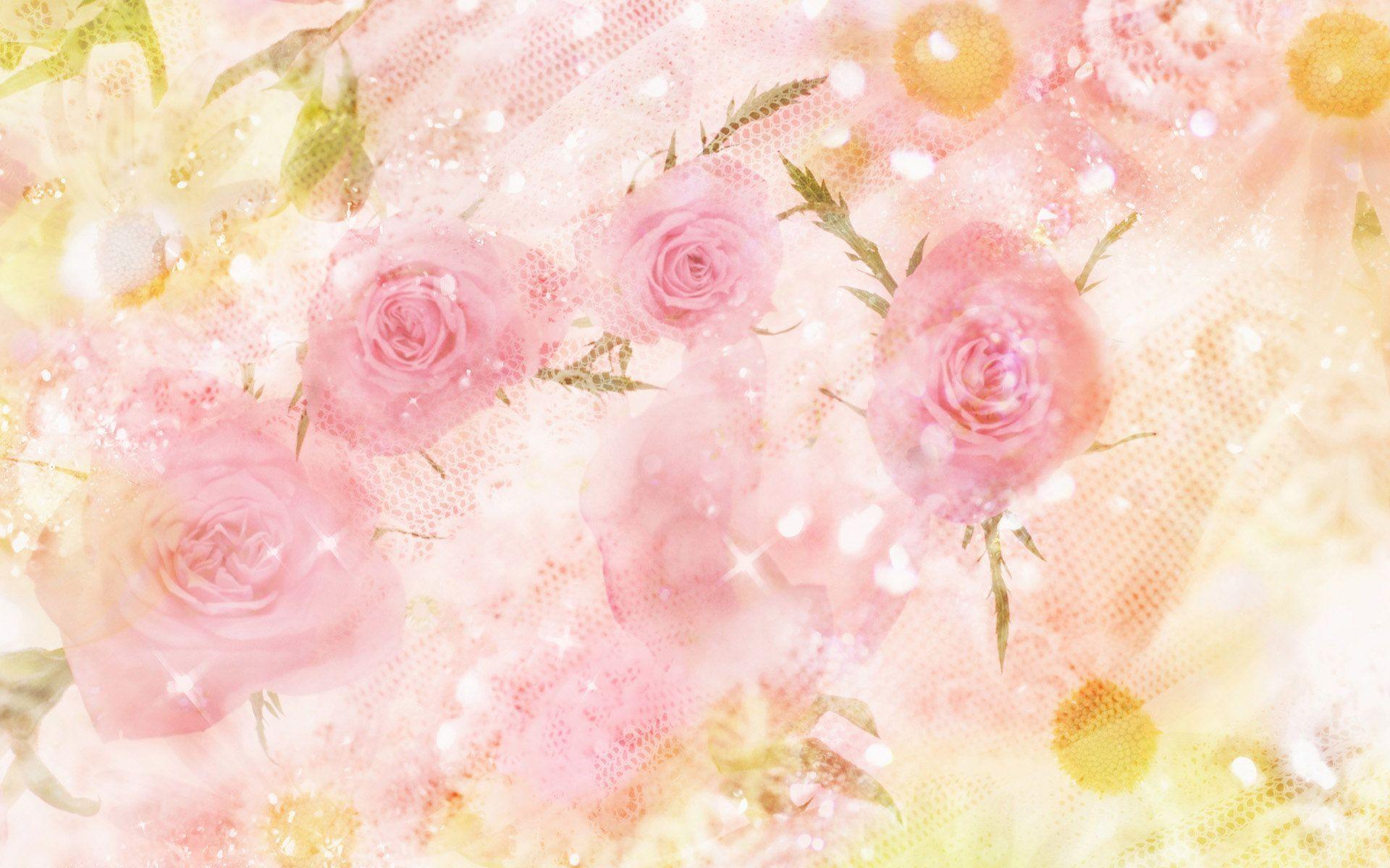 Pink Rose Flower wallpaper