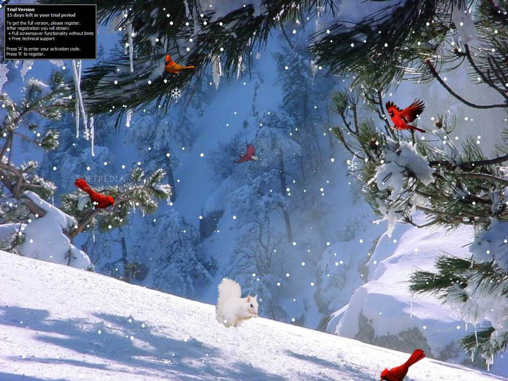 Winter Screensavers Wallpapers and Backgrounds