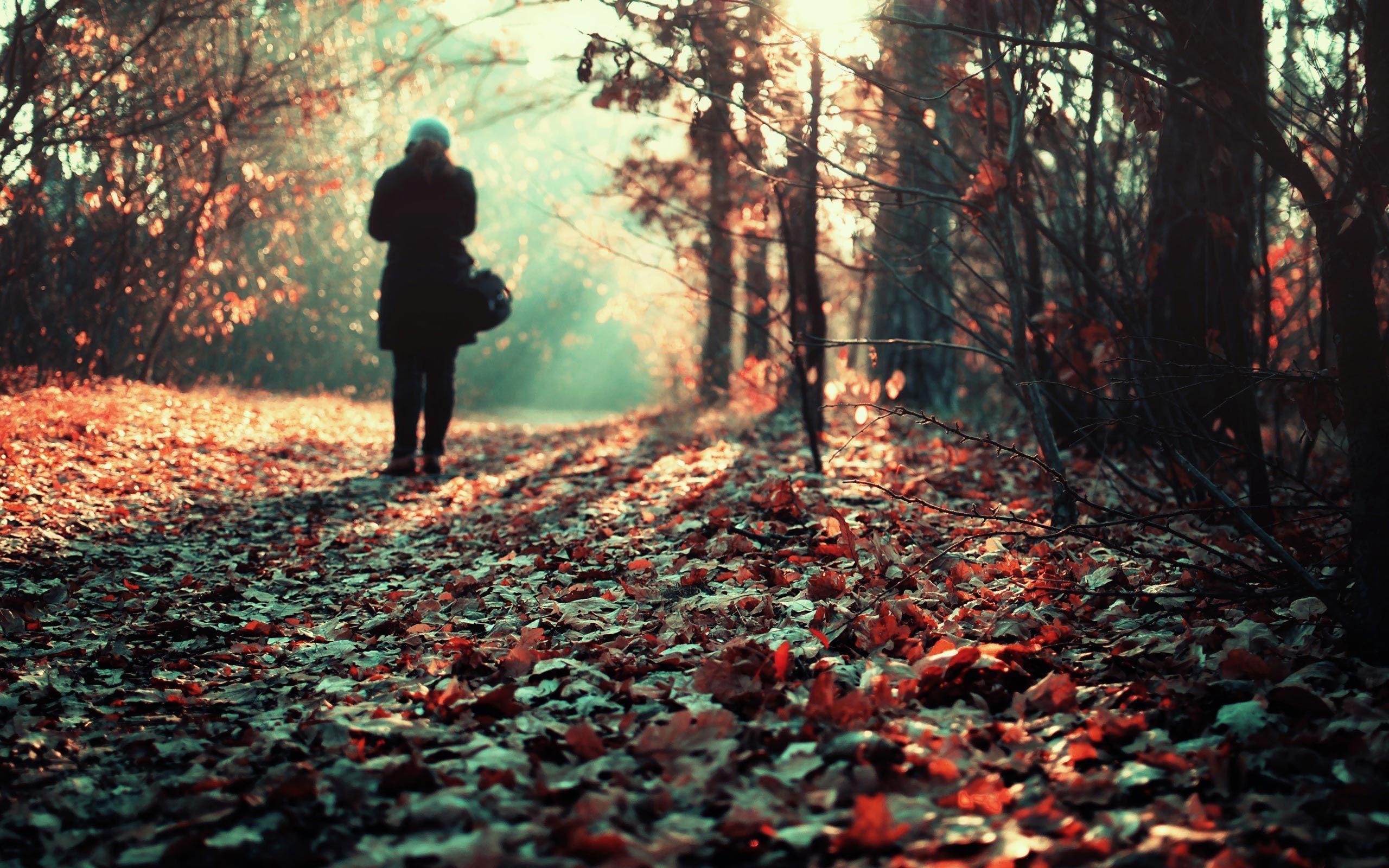 Girl Forest Loneliness Wallpaper