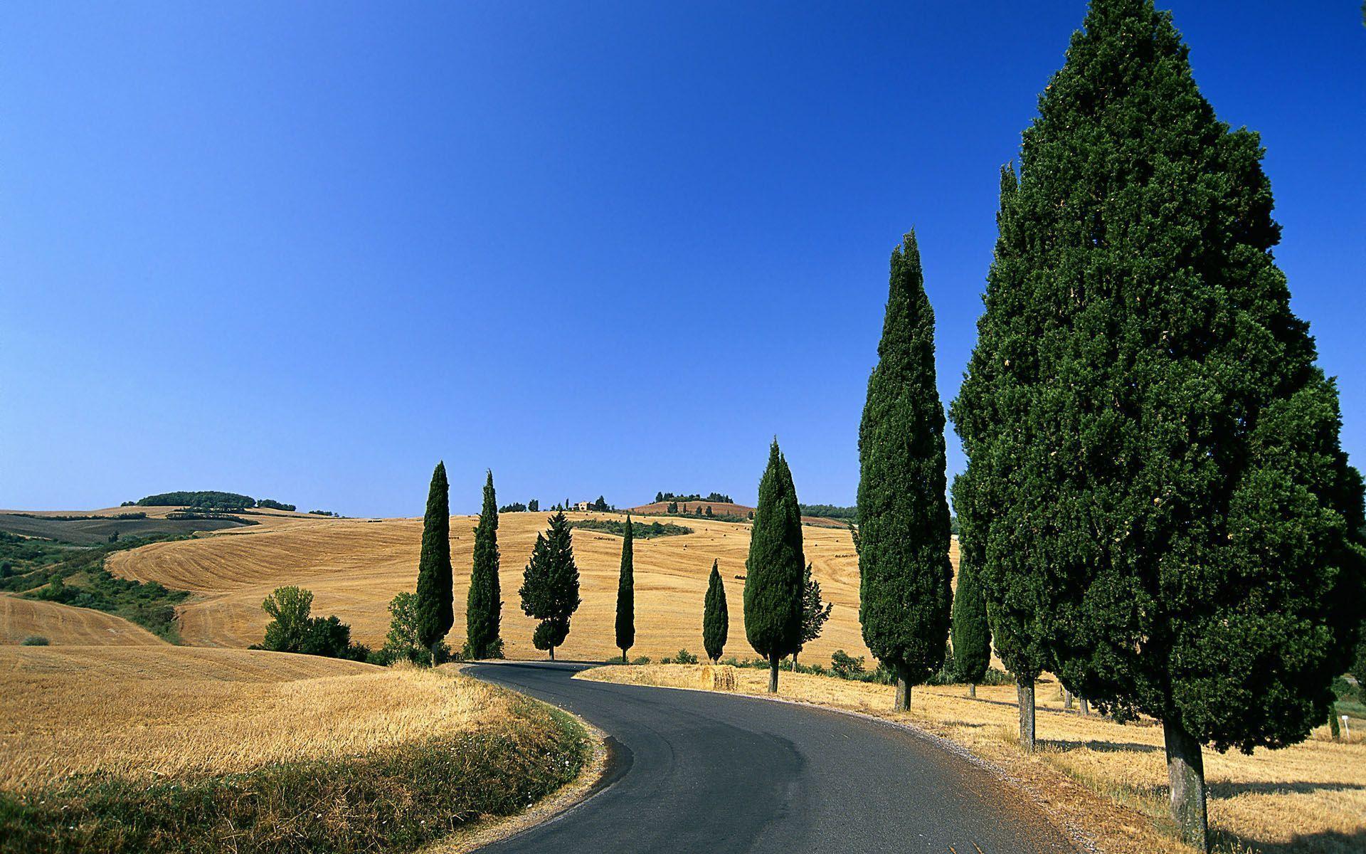 Strada di campagna nei pressi di Monticchiello, Siena Wallpaper