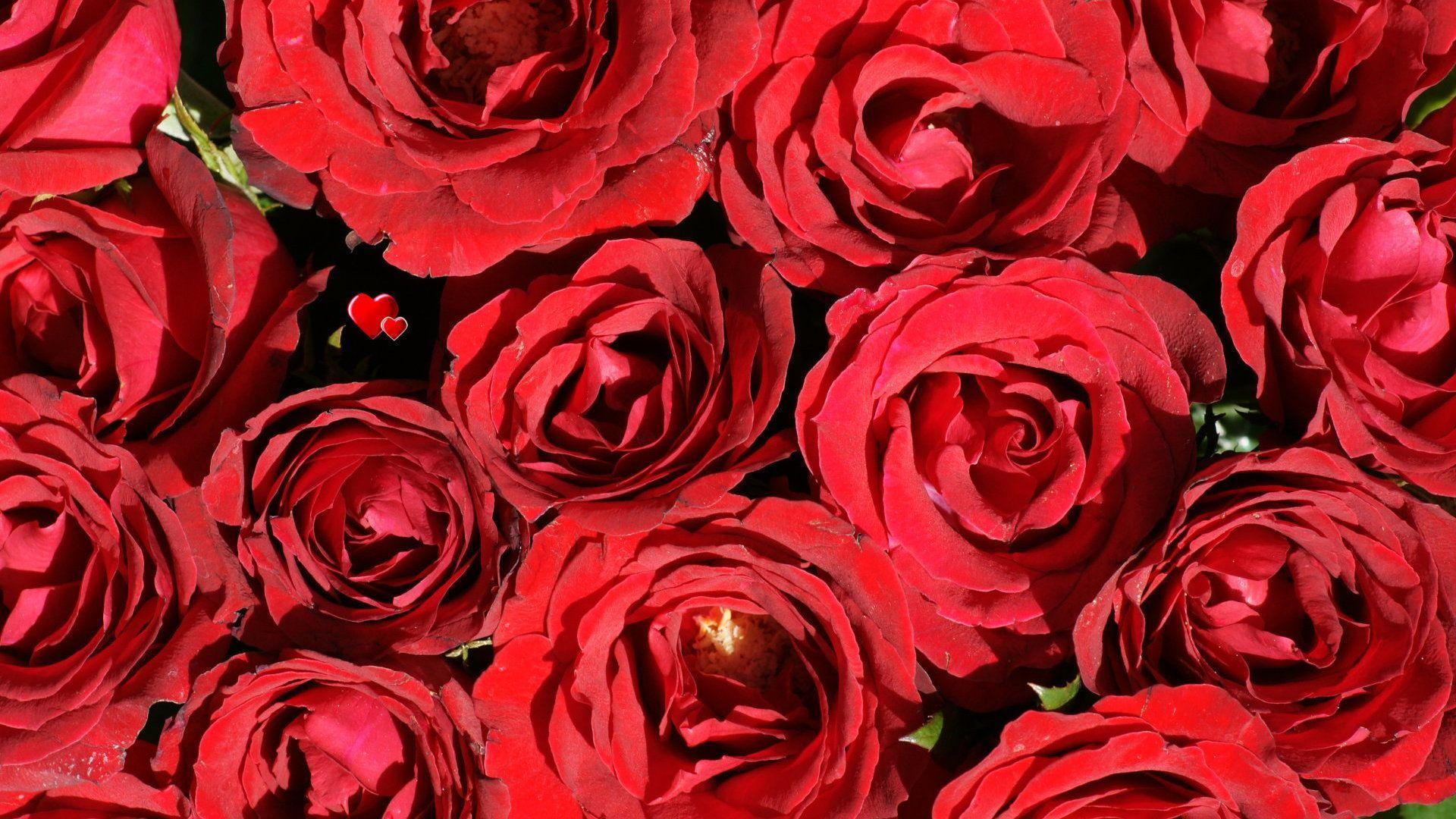 Red Roses Love Heart Wallpaper