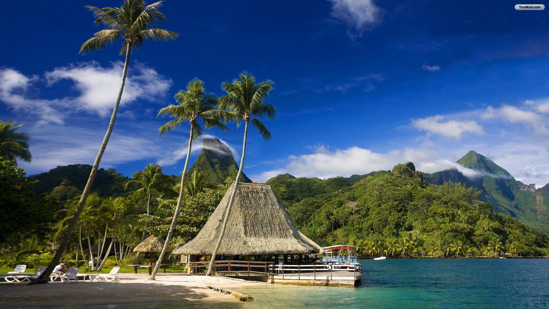 Tropical Island Background HD 1080P 12 HD Wallpaper