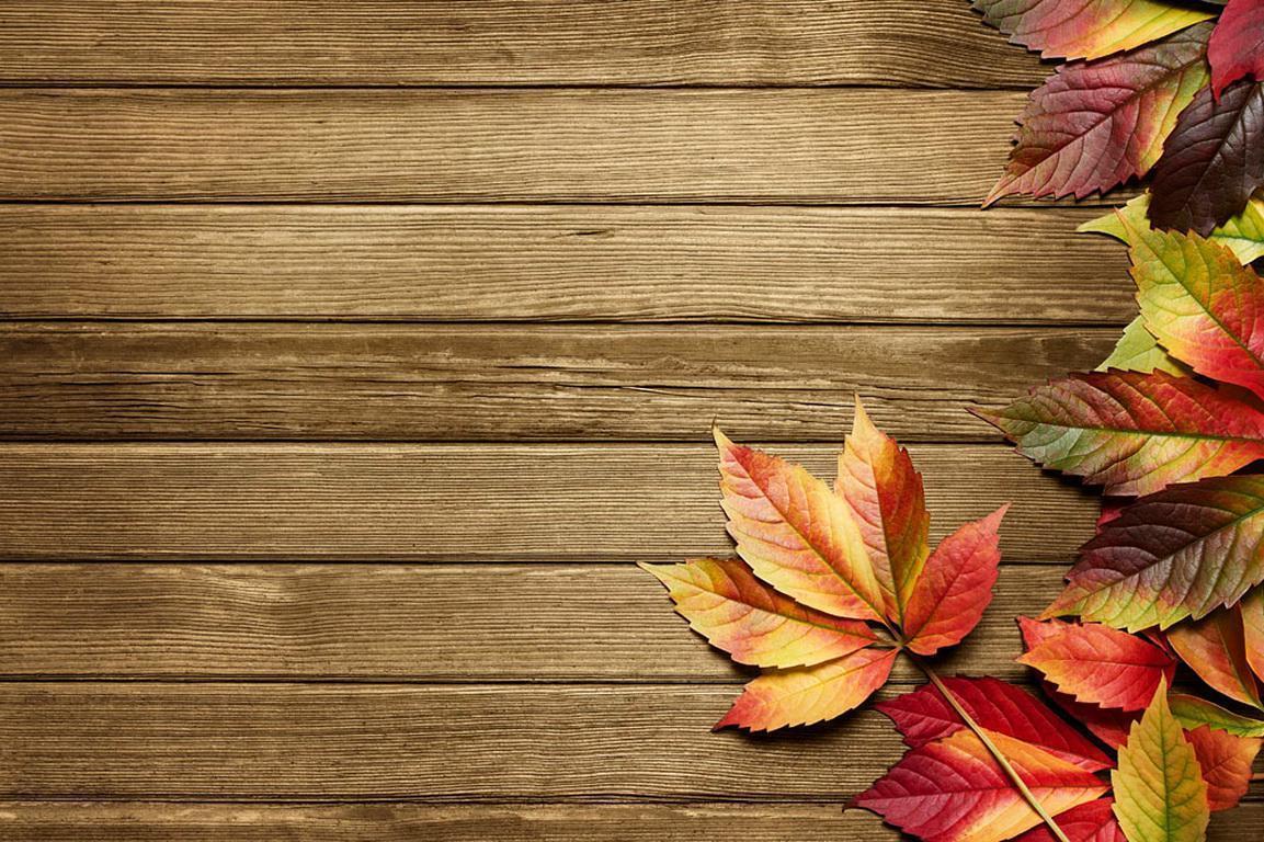 Autumn Background Wallpaper