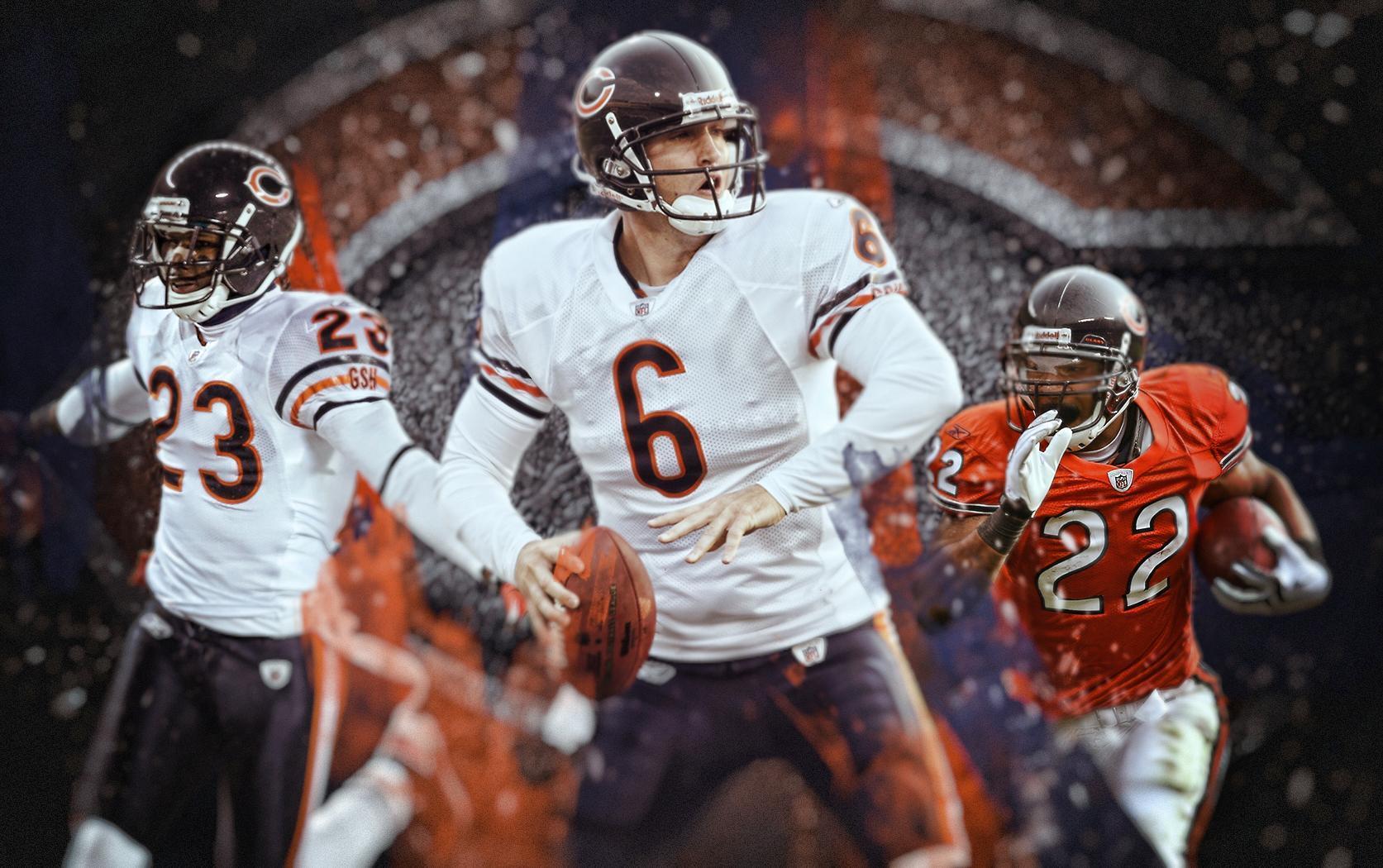 Free Chicago Bears Wide Wallpaper taken from Chicago Bears