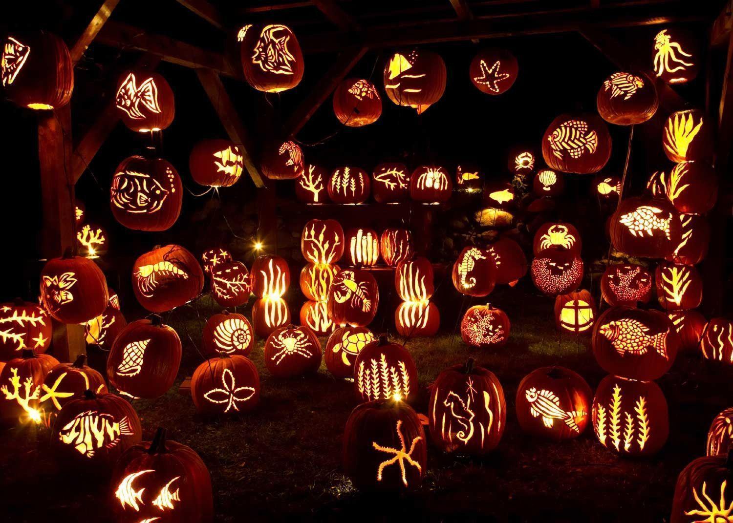 Pumpkin Jack O Lanterns Wallpaper. Free Download Wallpaper
