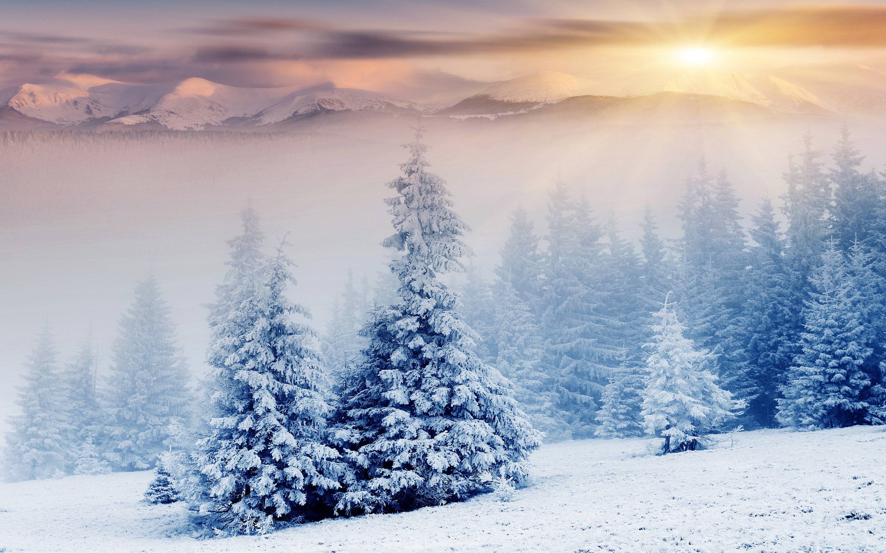 Snow Wallpaper 7421