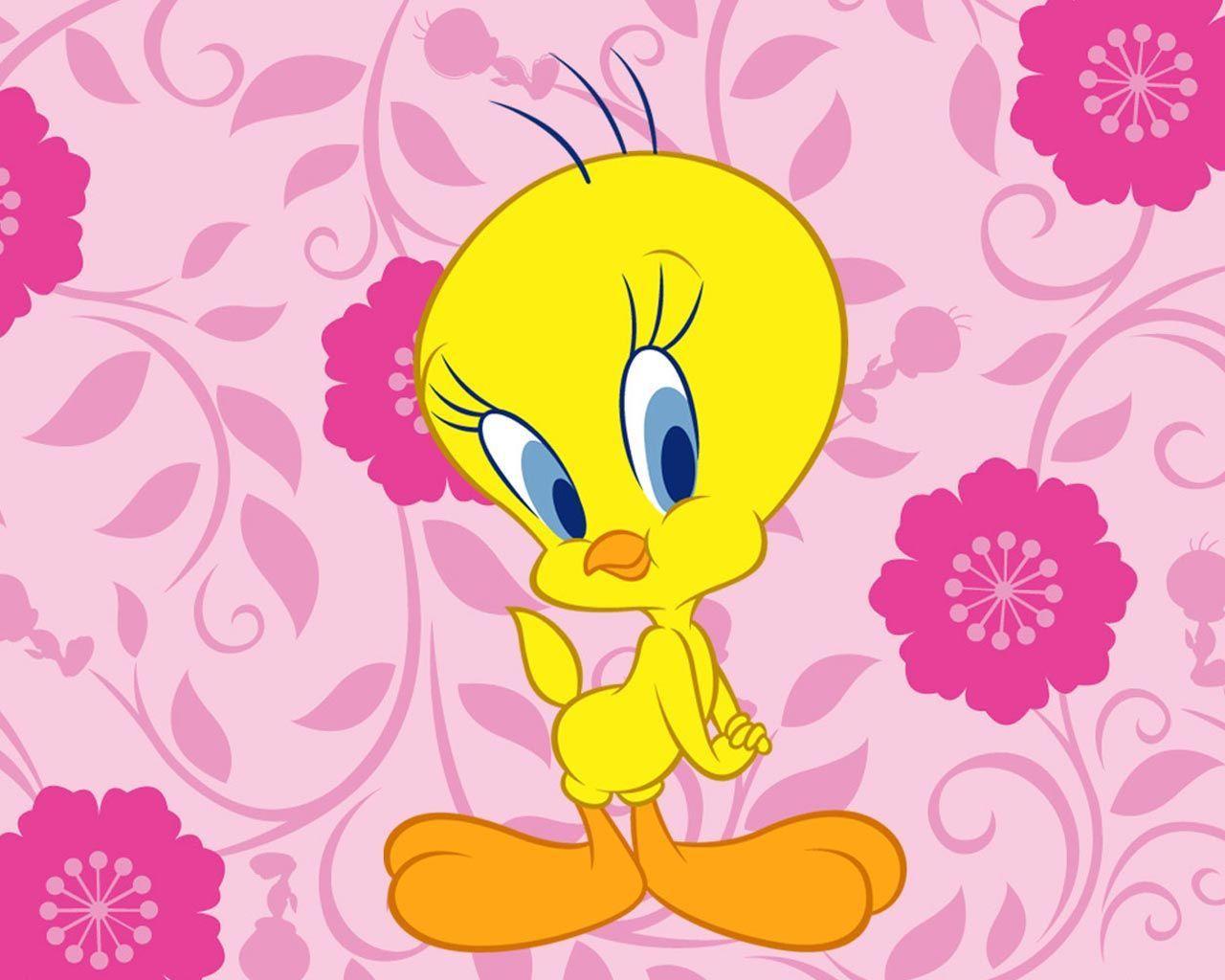 Wallpapers Of Tweety Wallpaper Cave