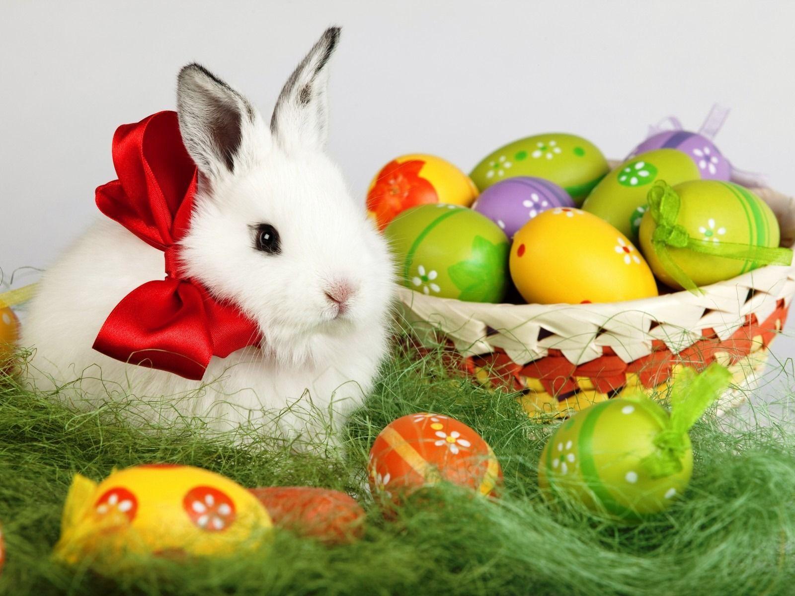 Easter Bunny Desktop Wallpapers Free