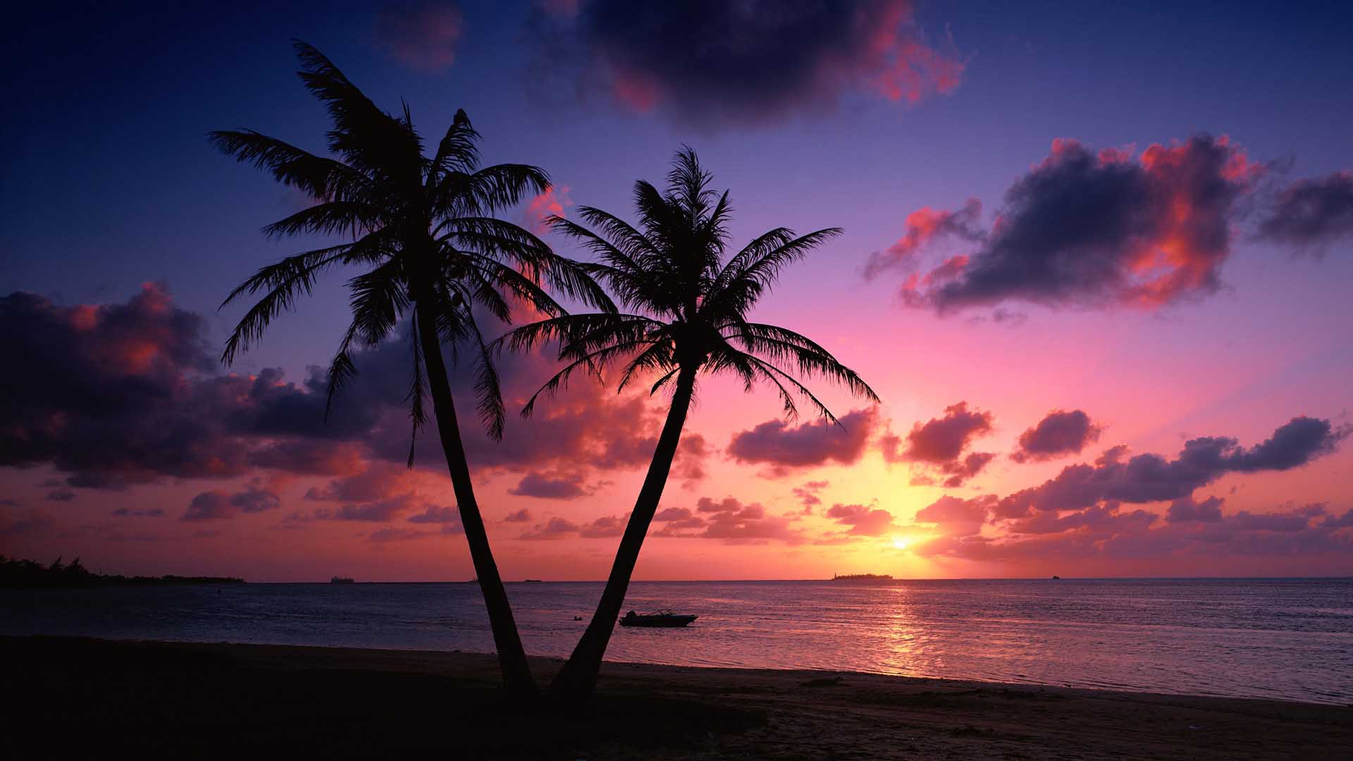 Wallpaper For > Beach Sunset Background