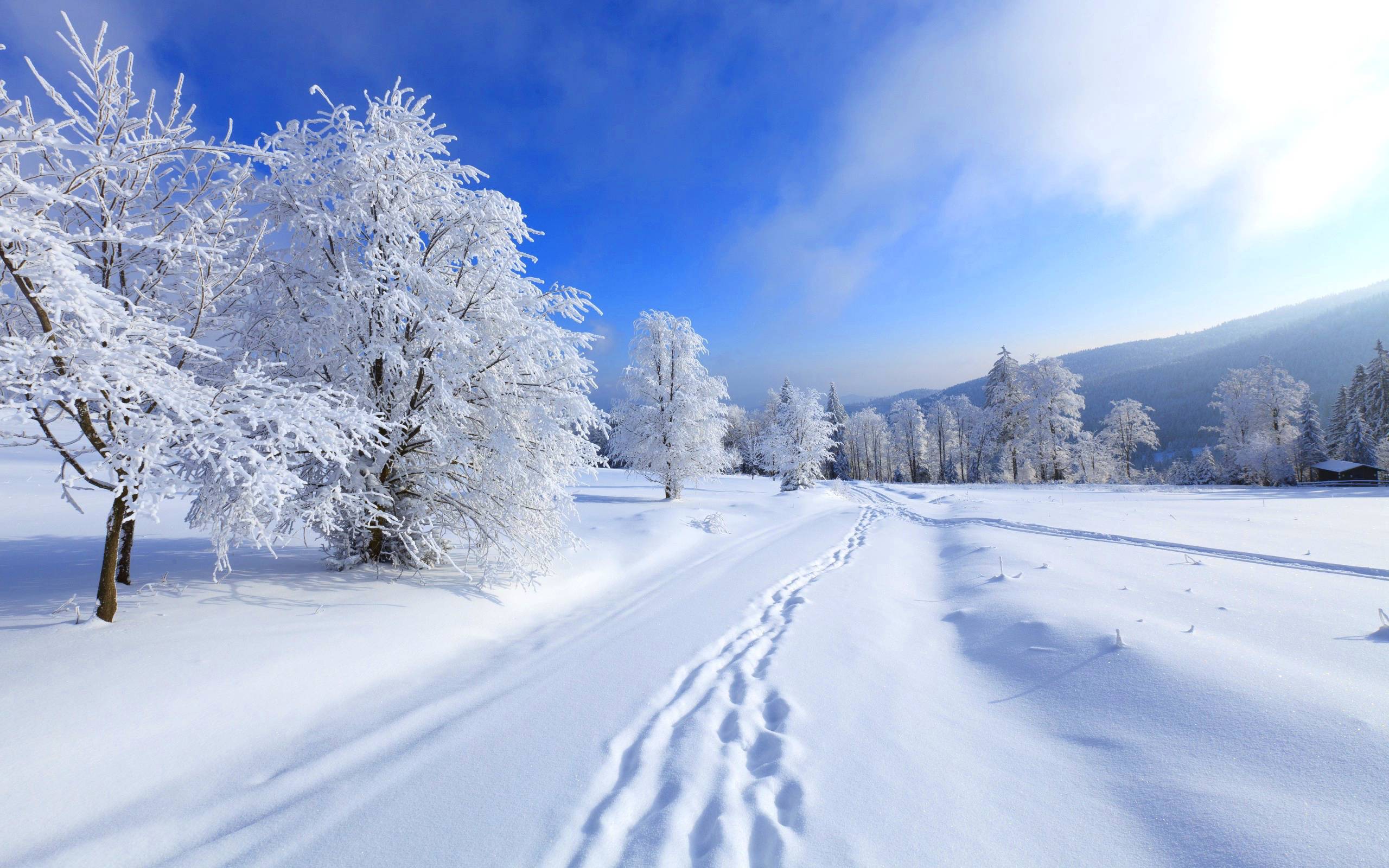 Winter High Resolution Wallpaper 130 Download Wallpaperage
