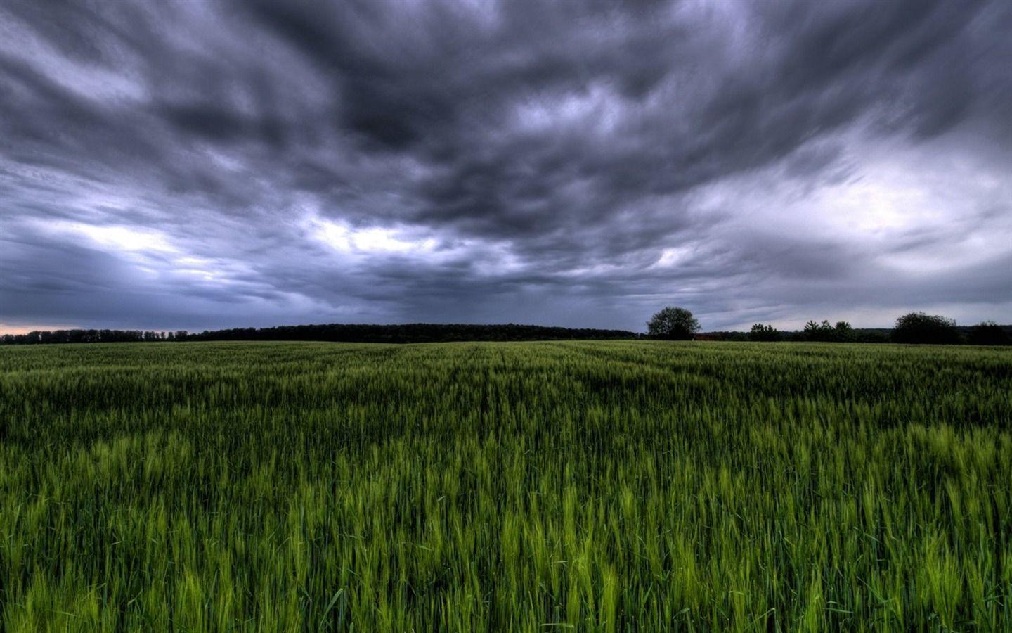 Green field under stormy sky Germany wallpaper download