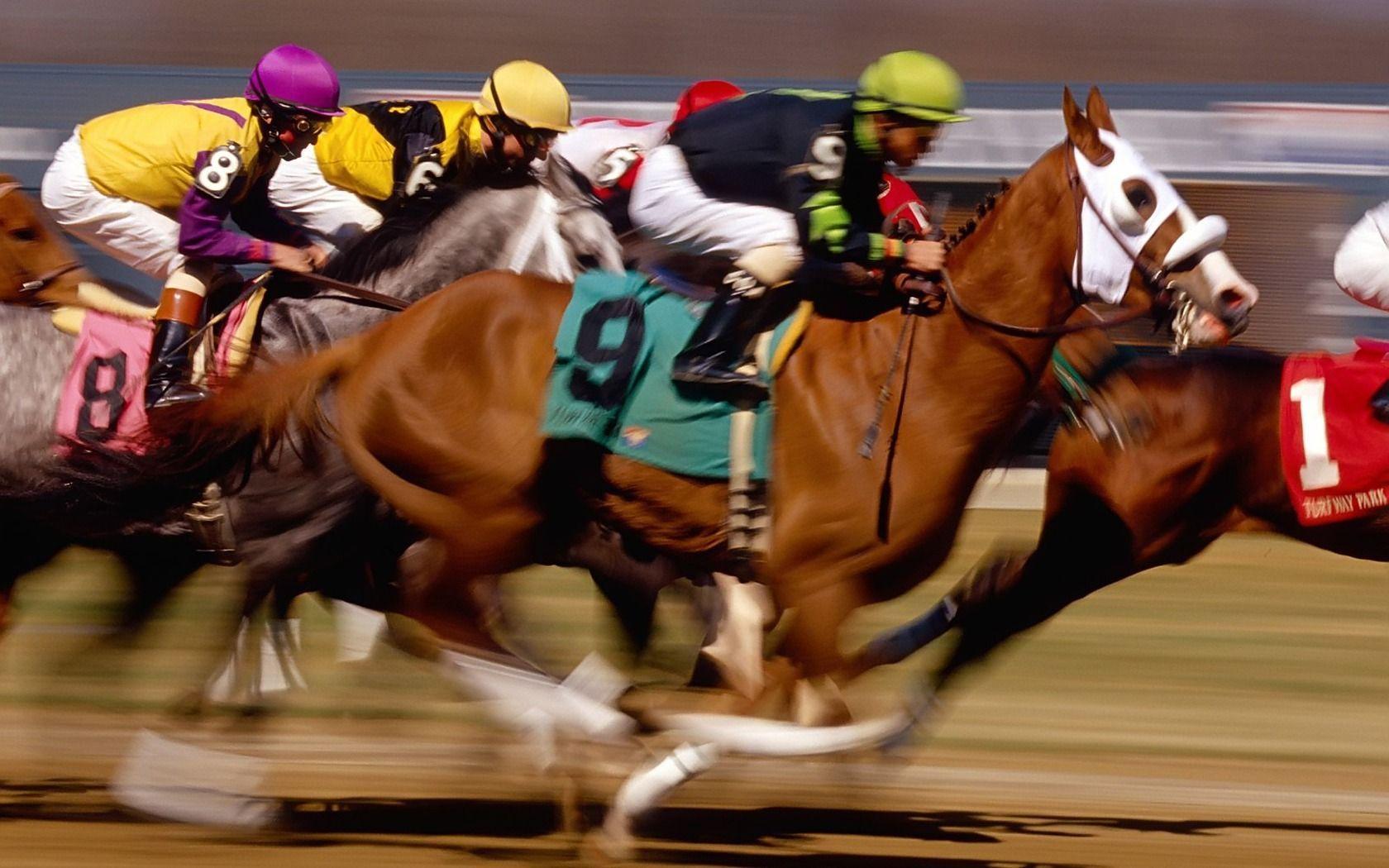 Horse Racing Wallpaper Horses Animals