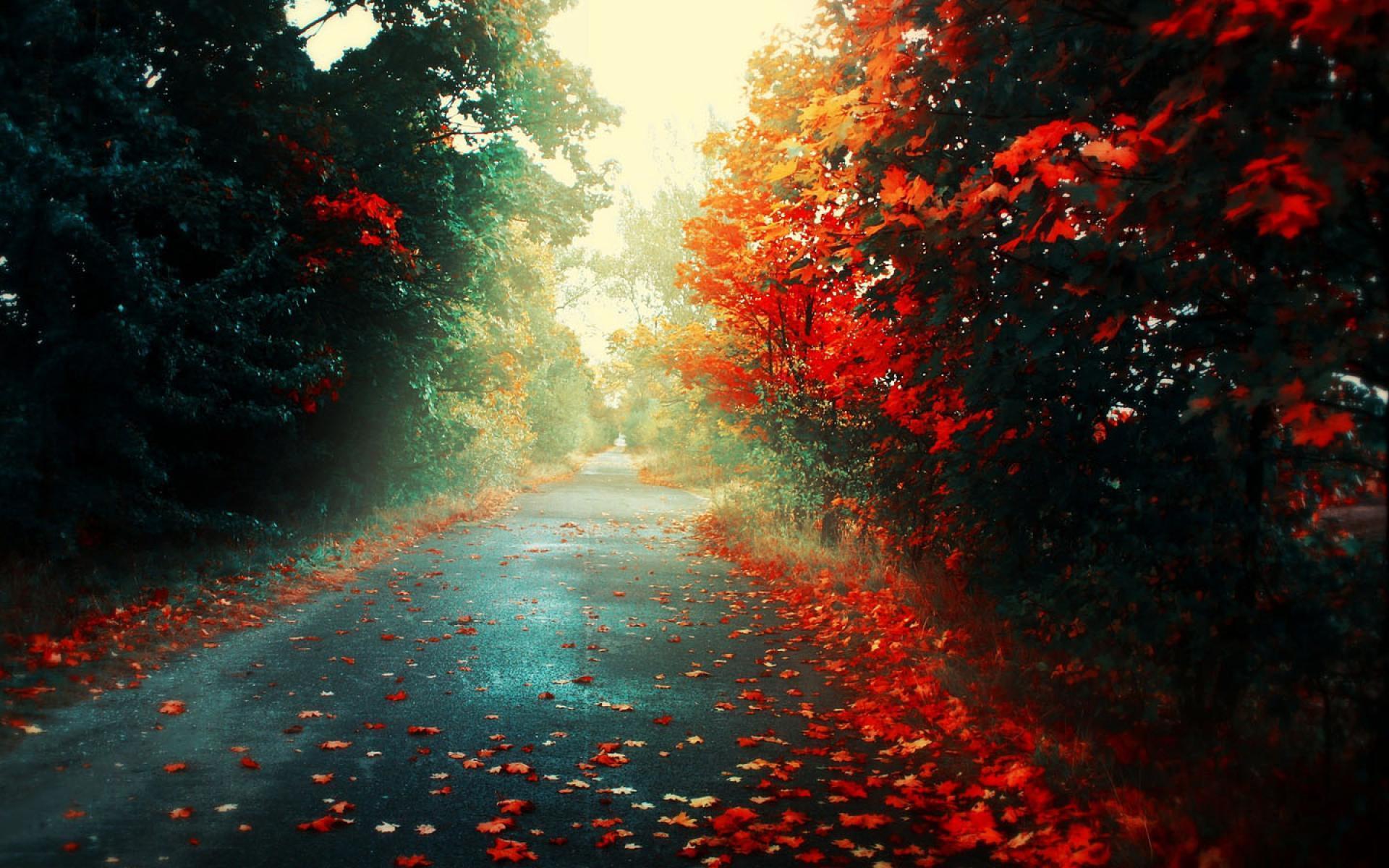 fall desktop wallpaper HD