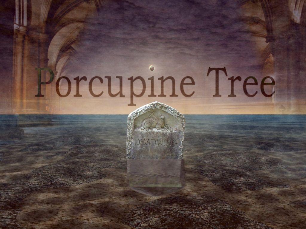 Pin Porcupine Tree Wallpaper With 1280x800 Resolution