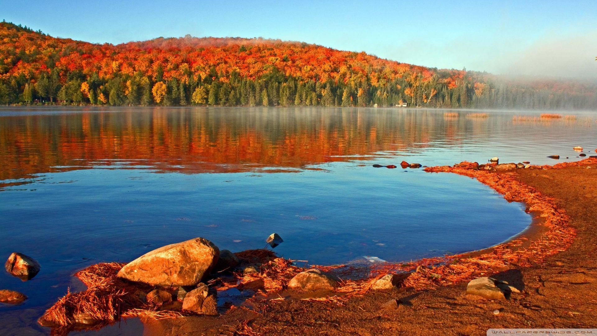 Download Lake Shore Autumn Wallpaper 1920x1080