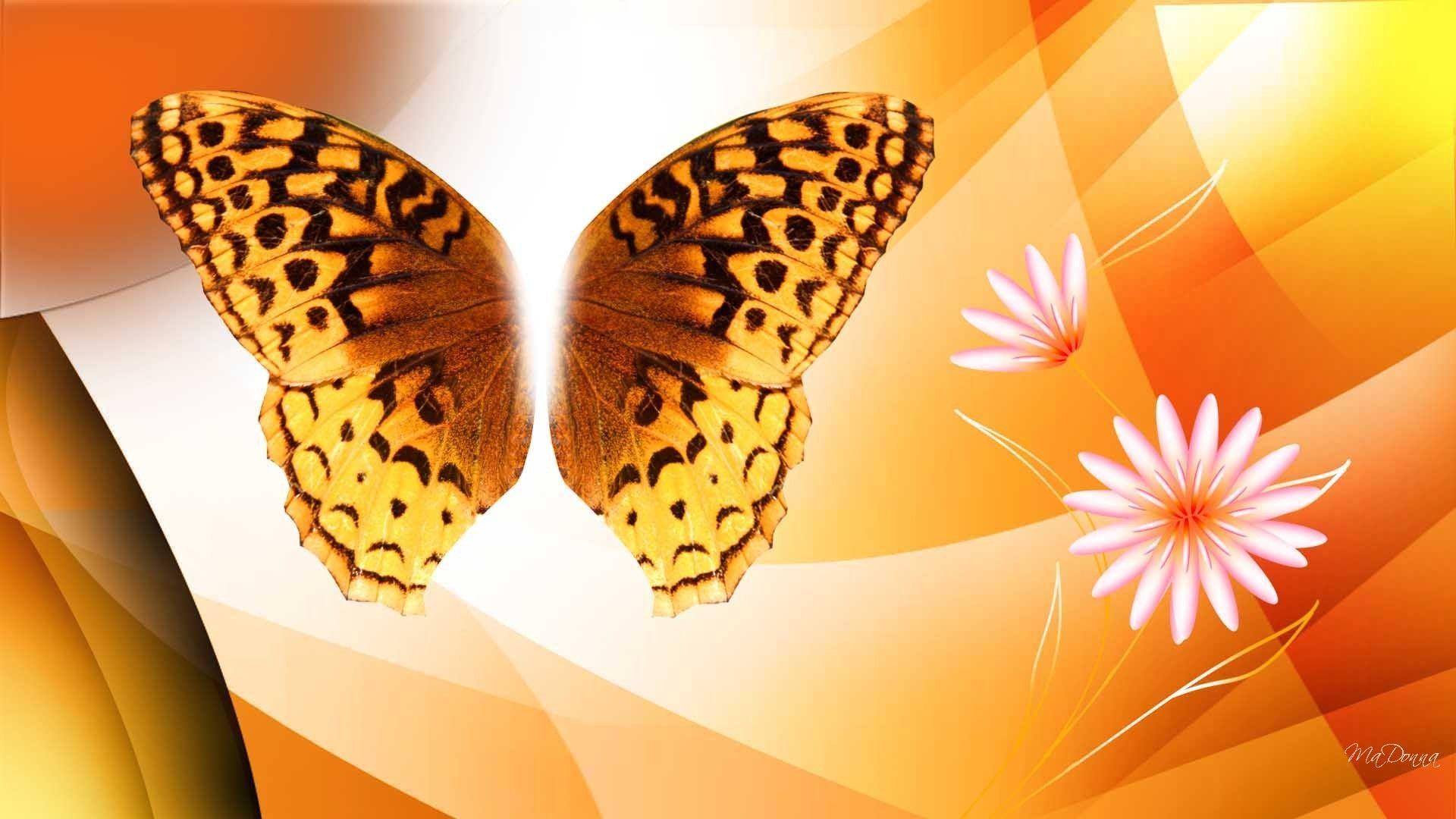 Beautiful Butterfly Background