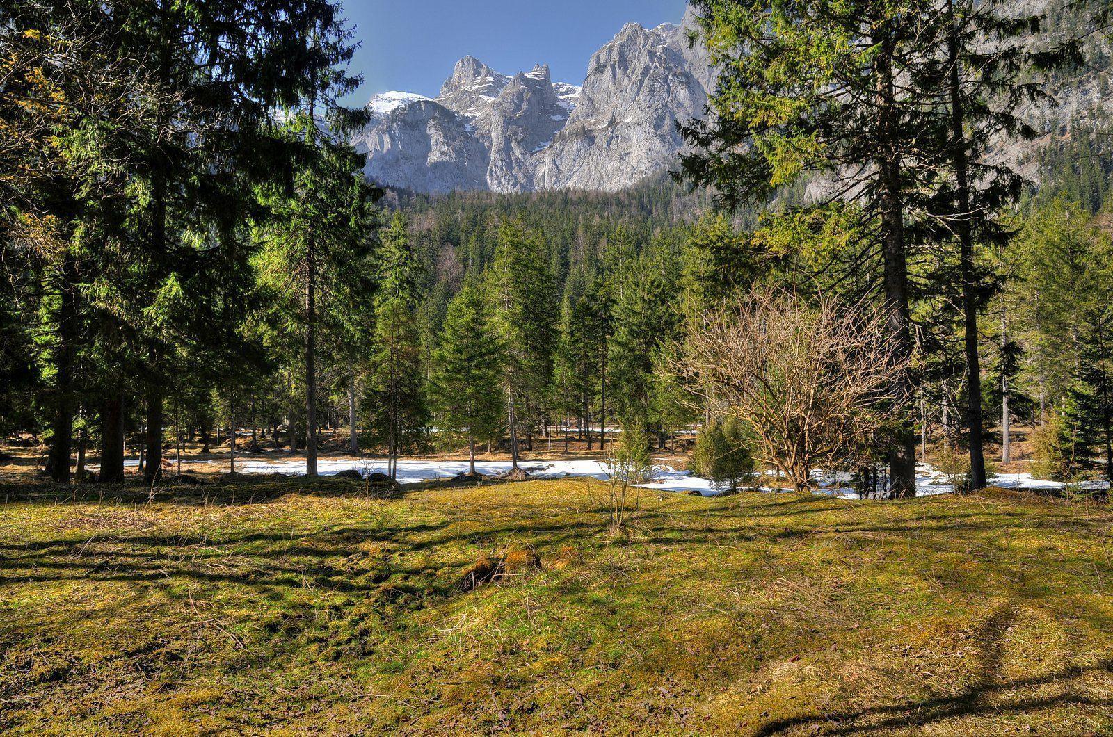 Springtime Background