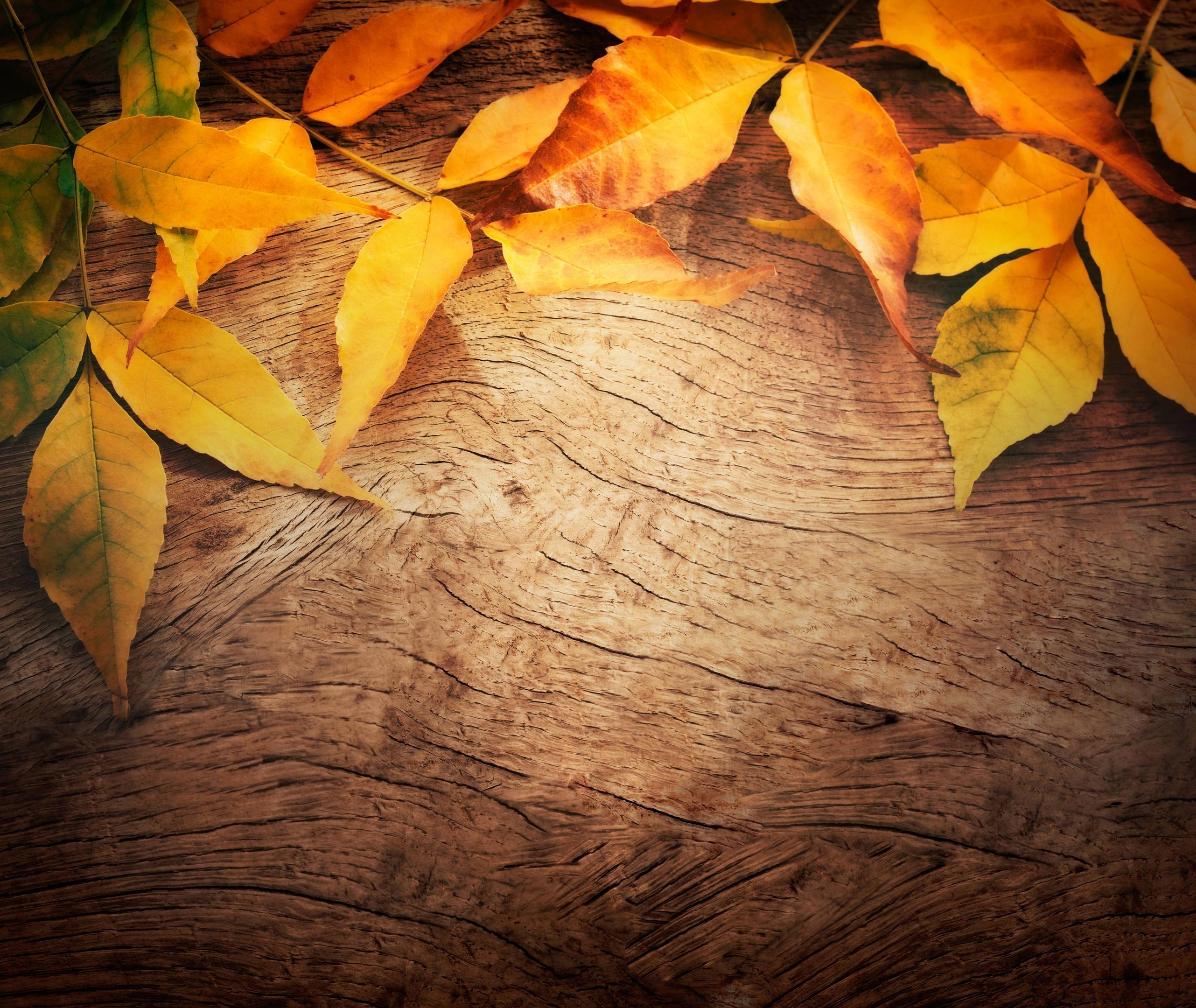 Wooden Background with Autumn Leaves