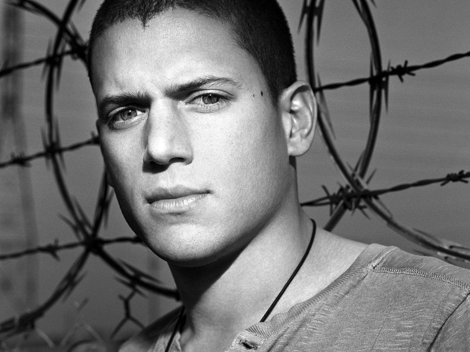 Celebrity: Wentworth Miller Photo (4) Cool Eyes, wentworth miller