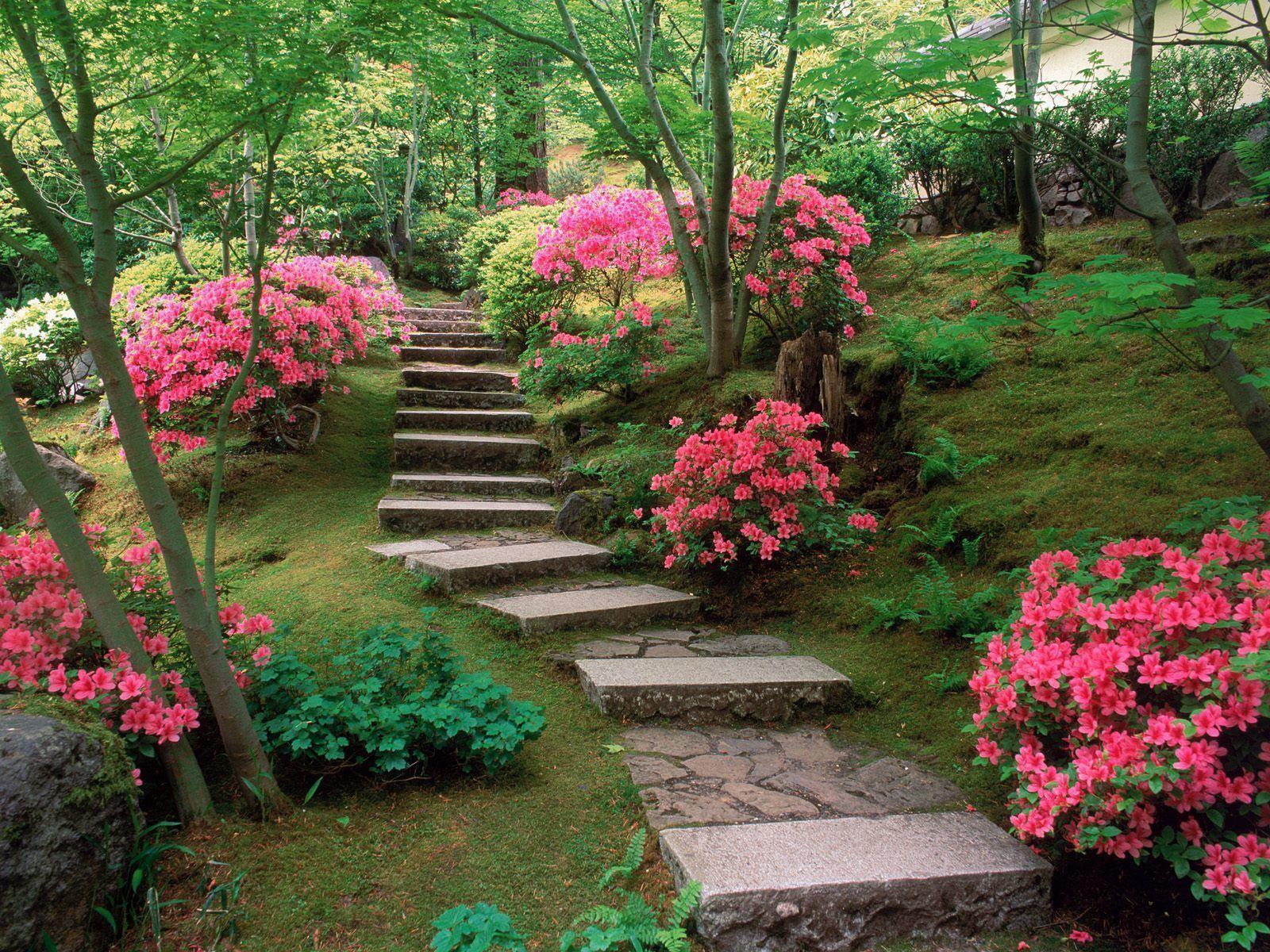 Japanese Flowers Garden Desktop Wallpaper