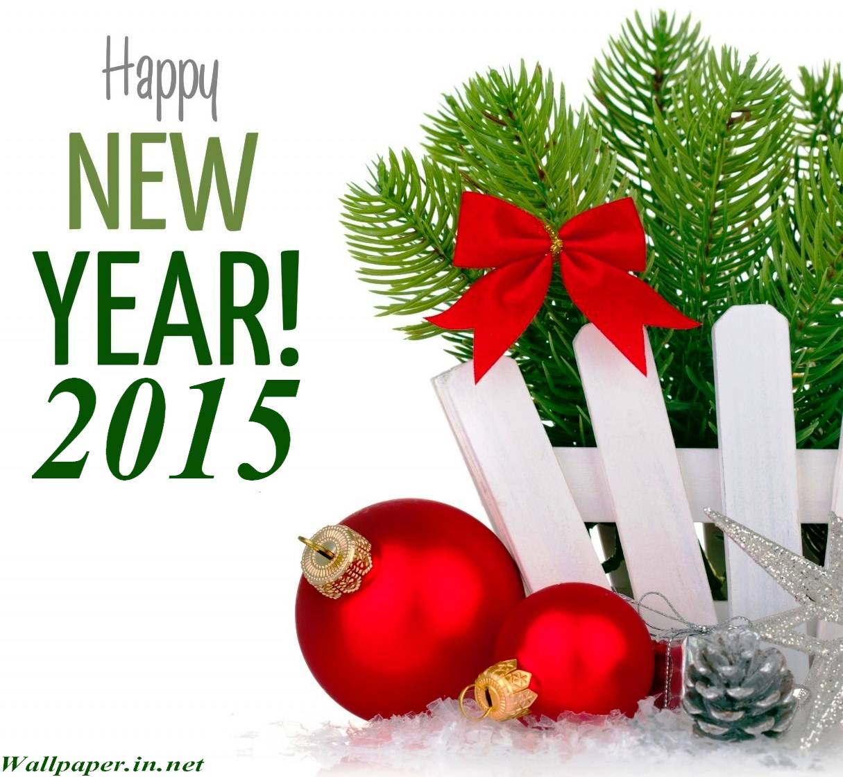 My Image 24