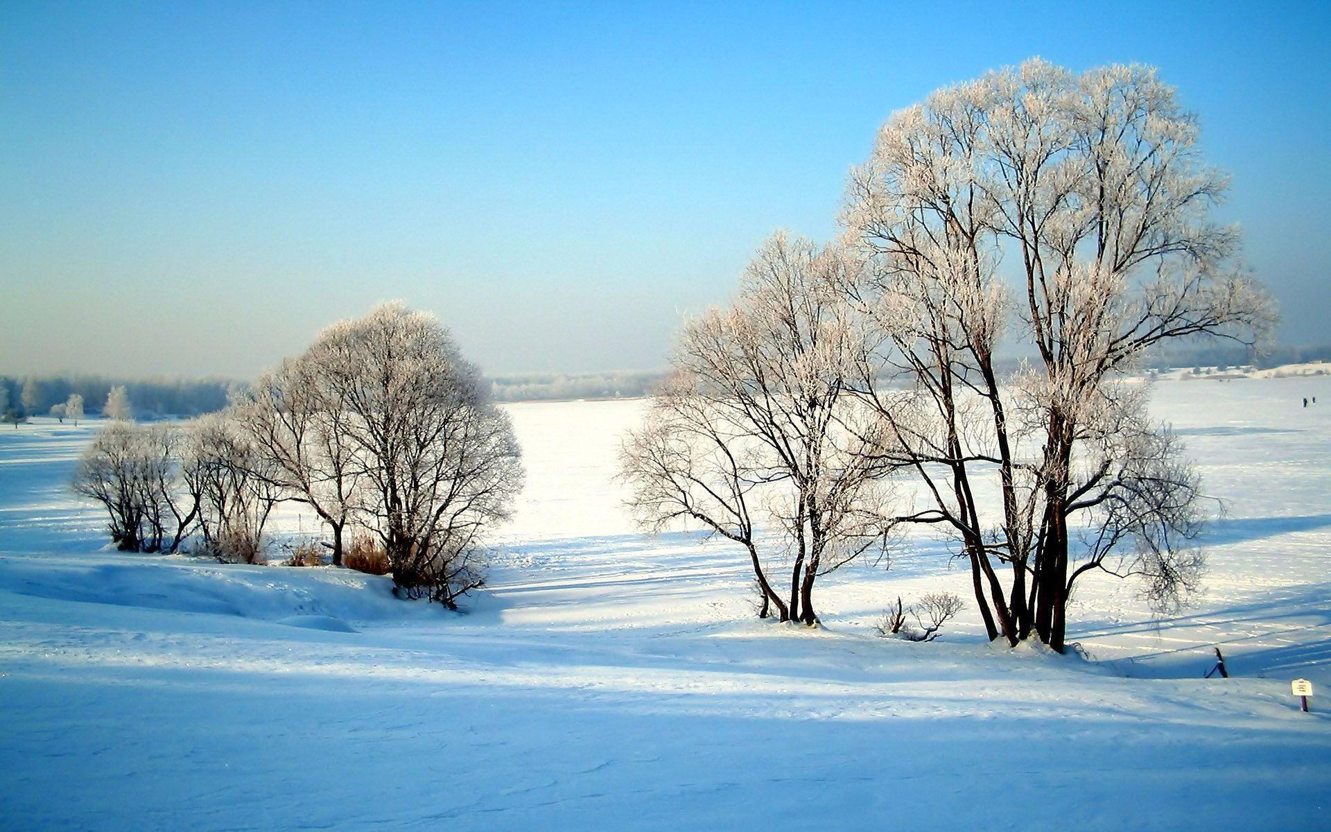 Winter Nature Wallpapers