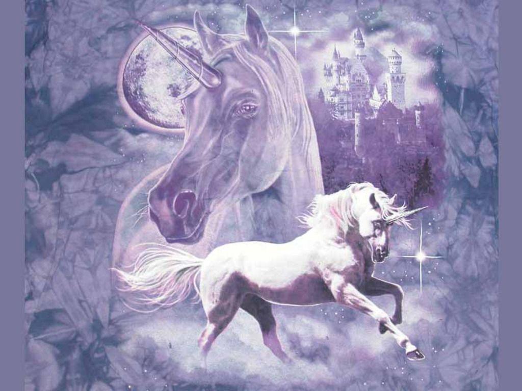 Unicorn horse background picture for cover and wallpaper. Finest