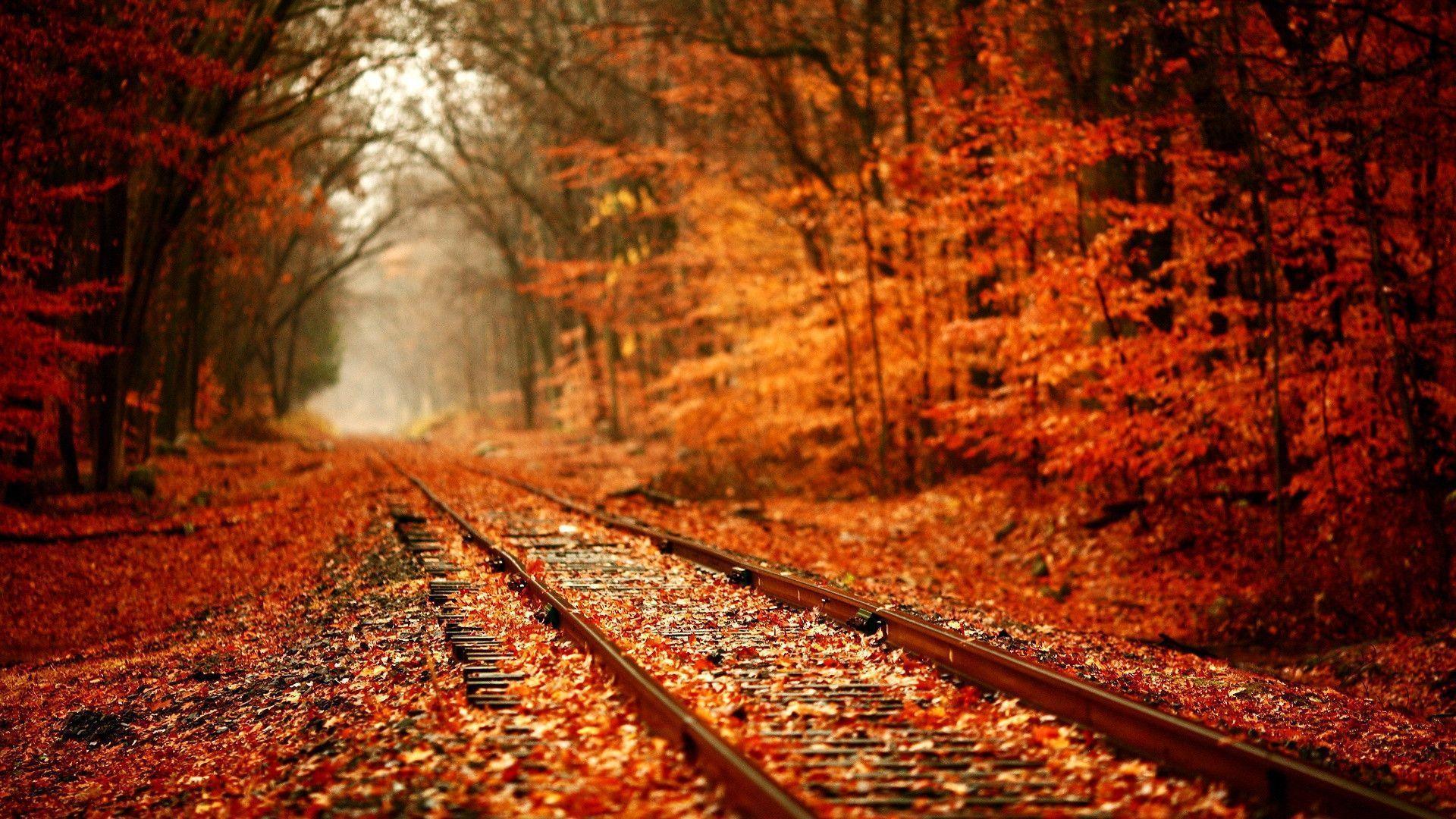 Railway Autumn Wallpaper