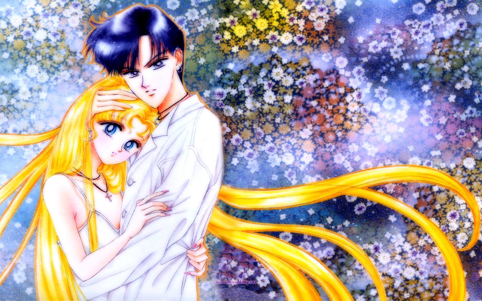 moonkitty: Sailor Moon Wallpapers Widescreen