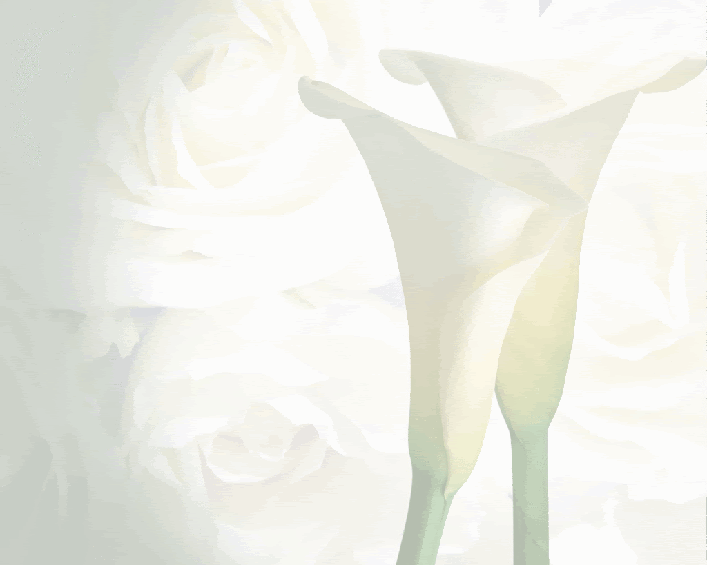 Wedding Flowers Background