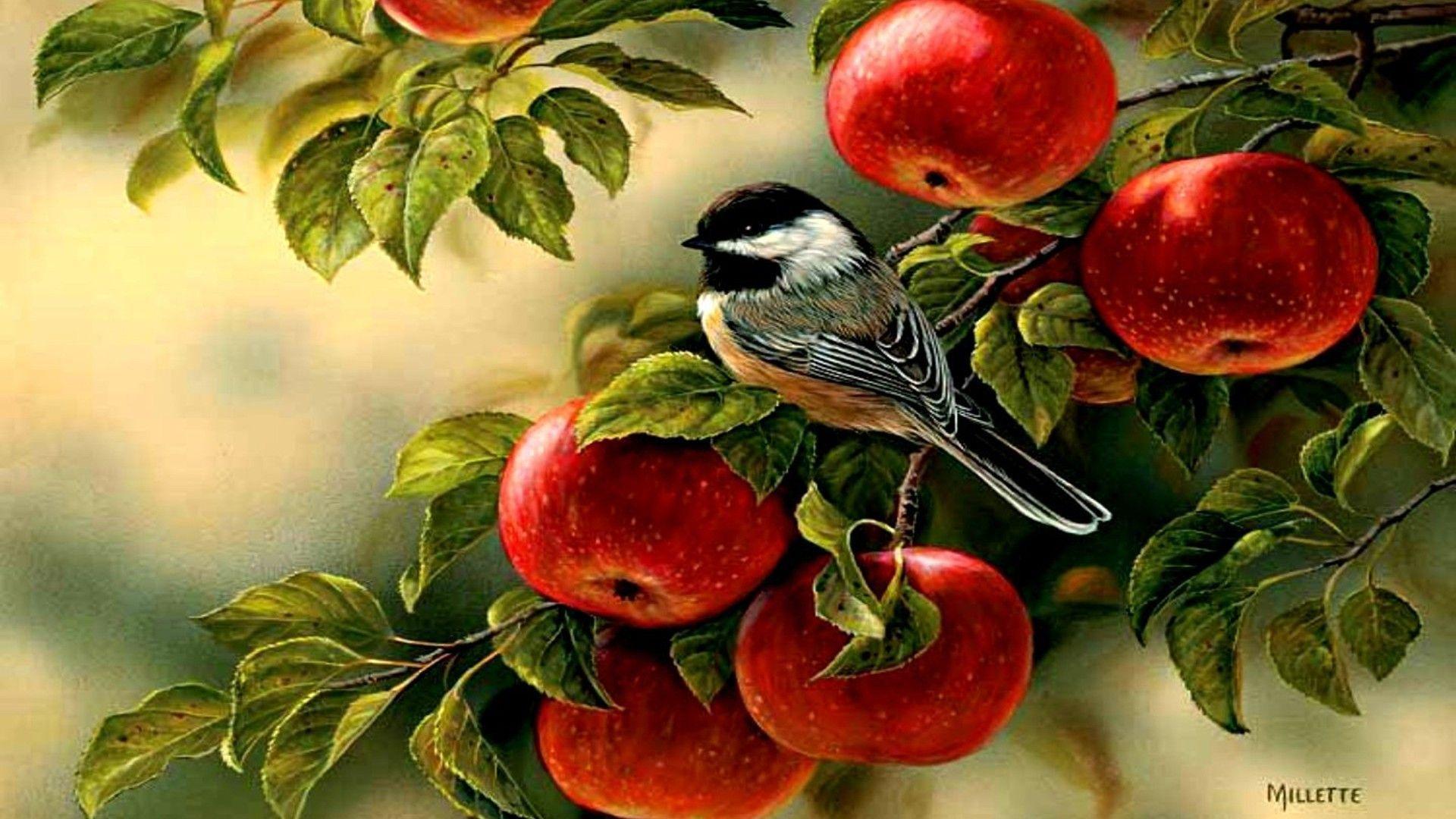 red apple tree wallpaper