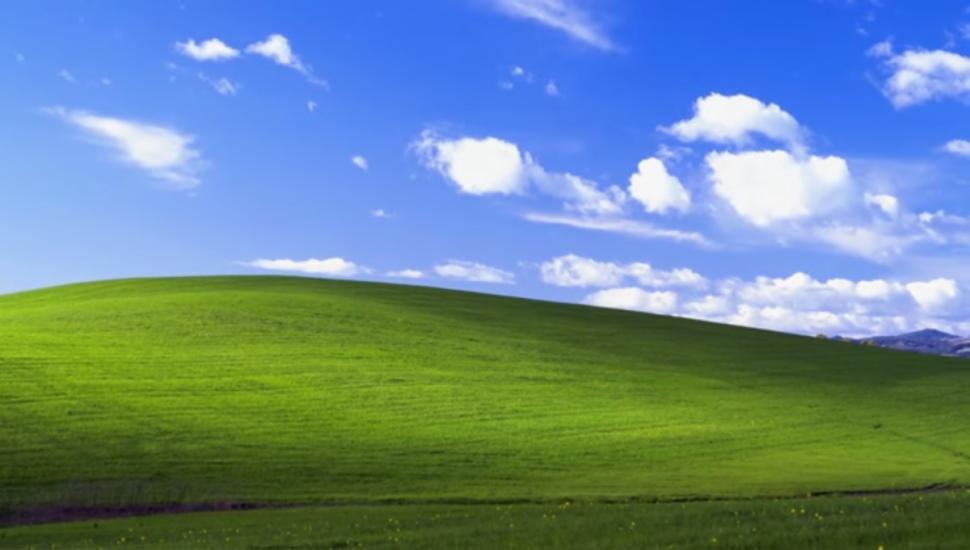 Bliss&photog shares story of famous Windows XP image