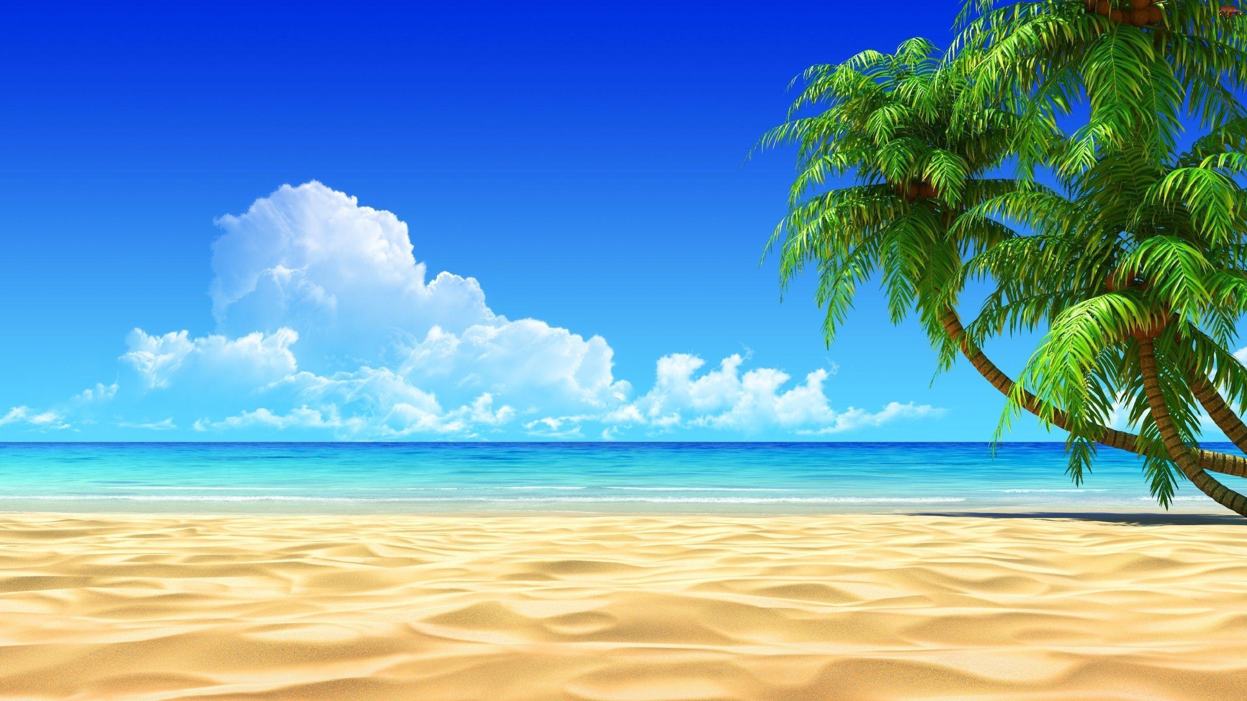 Nature Beach Vector Wallpaper Desktop Mobile Wallpaper