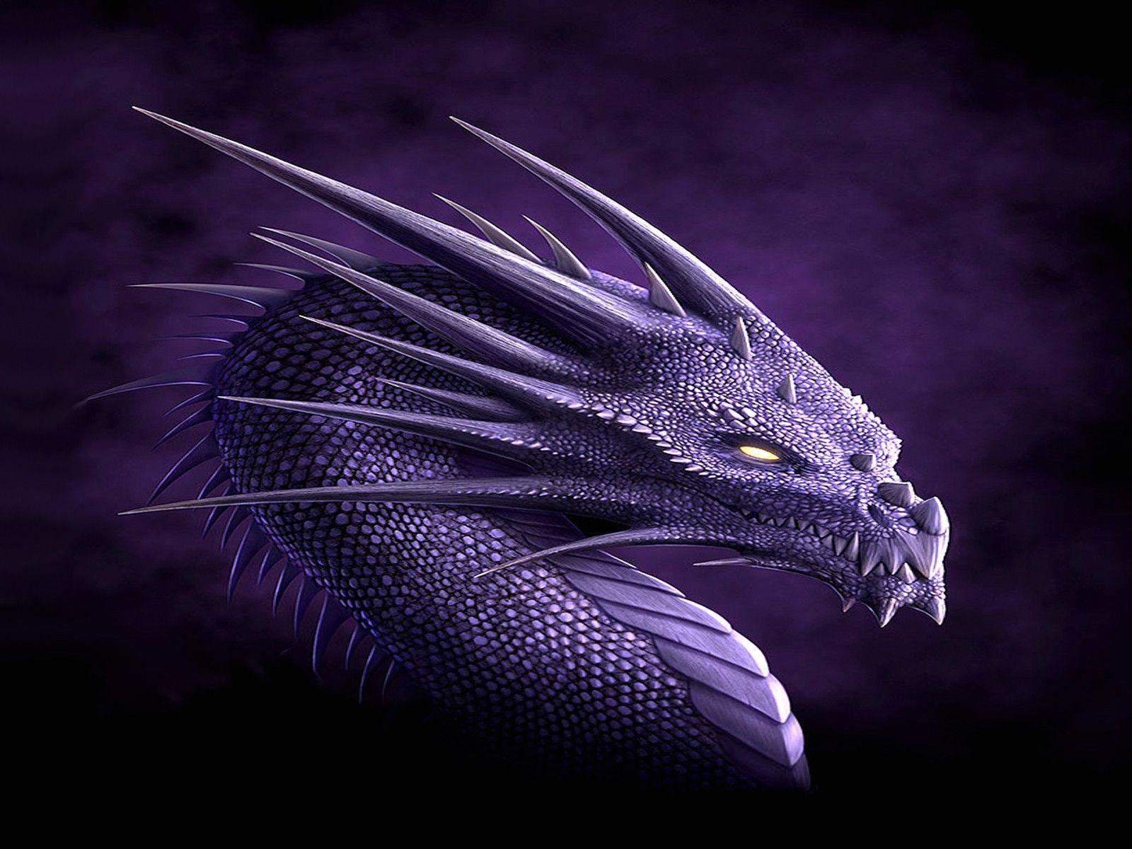 Dragon Wallpaper Wallpaper