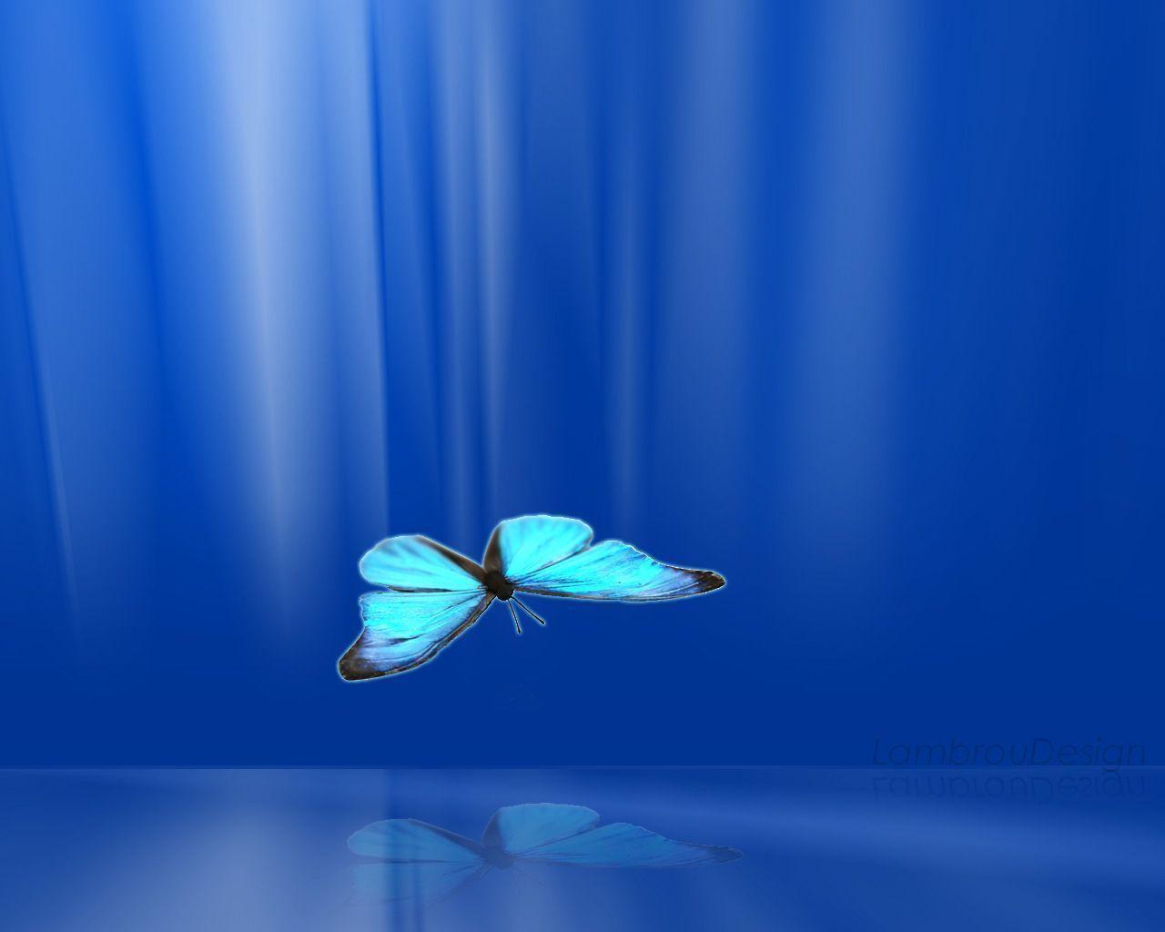 3D blue Butterfly 1152×864 HD Wallpaper / Wallpaper Butterfly