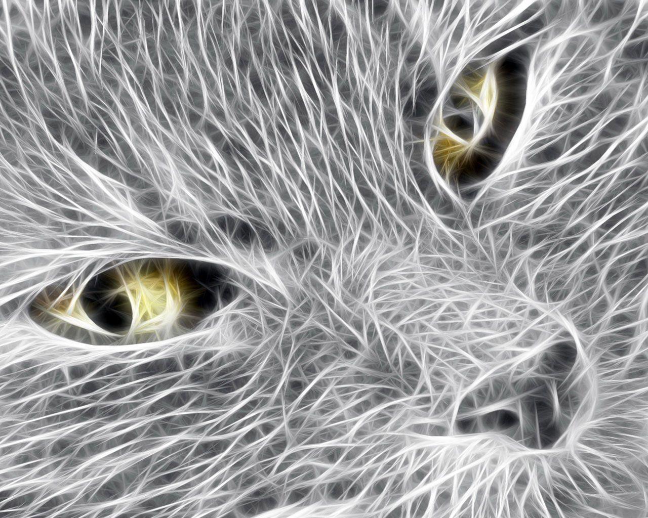 Desktop background // Computers // Windows 7 // Windows 7