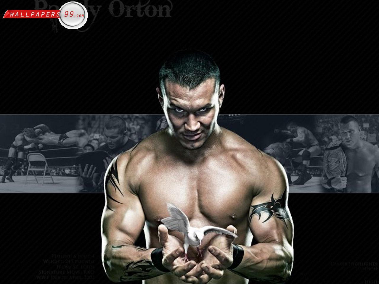 Randy Orton Wallpapers Picture Image 1280x960 30406.