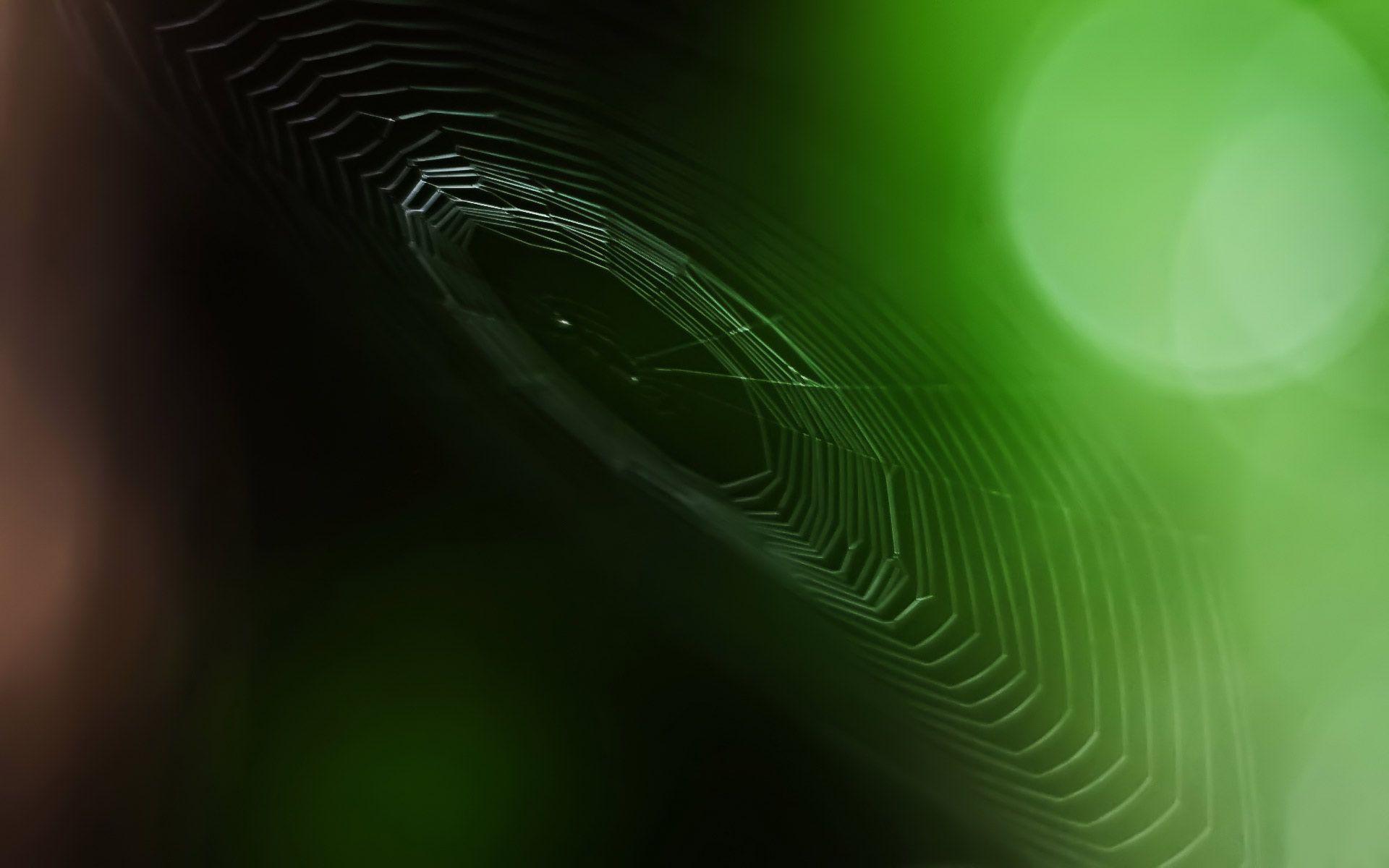 windows desktop wallpaper themes