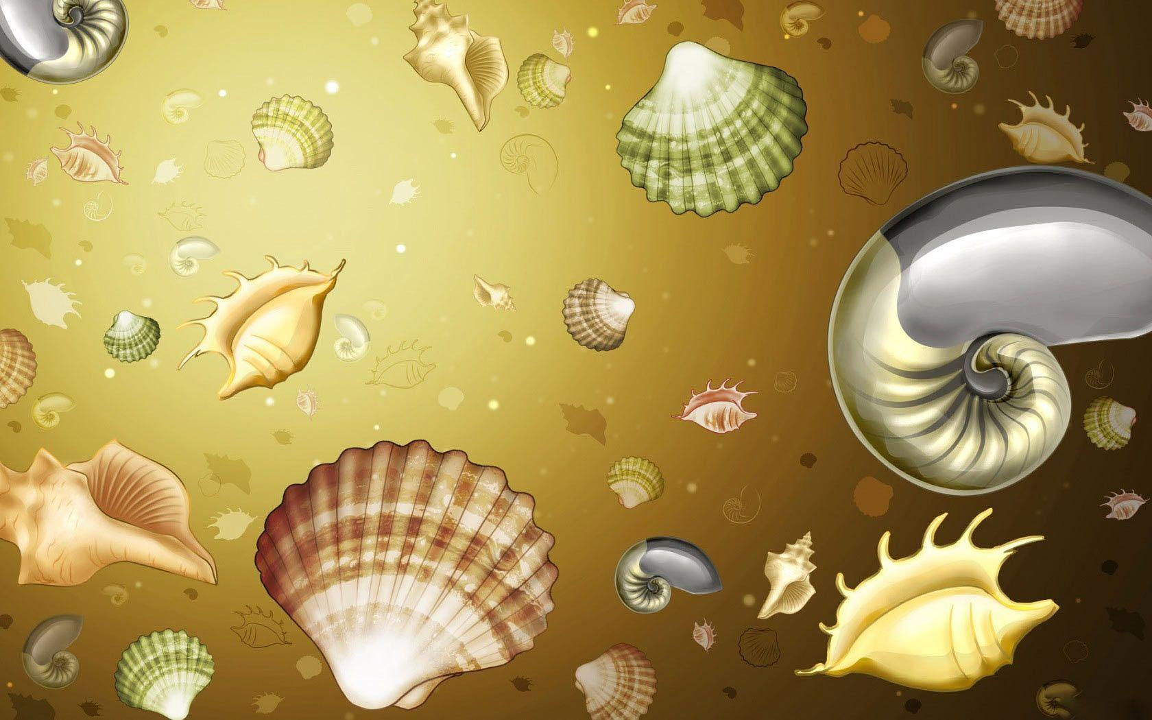 Desktop Wallpaper · Gallery · 3D Art · Seashells. Free Background