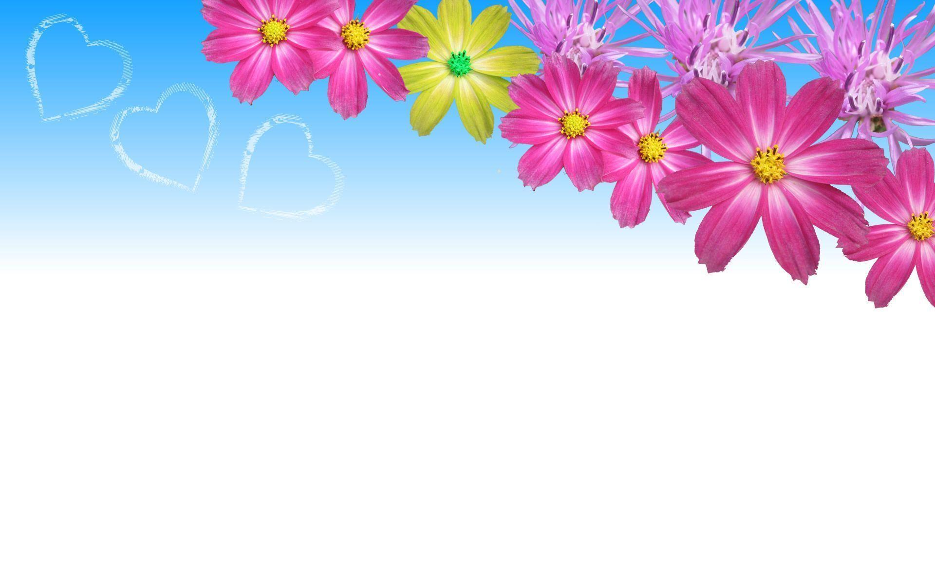 Flower Background 87 339746 High Definition Wallpaper. wallalay