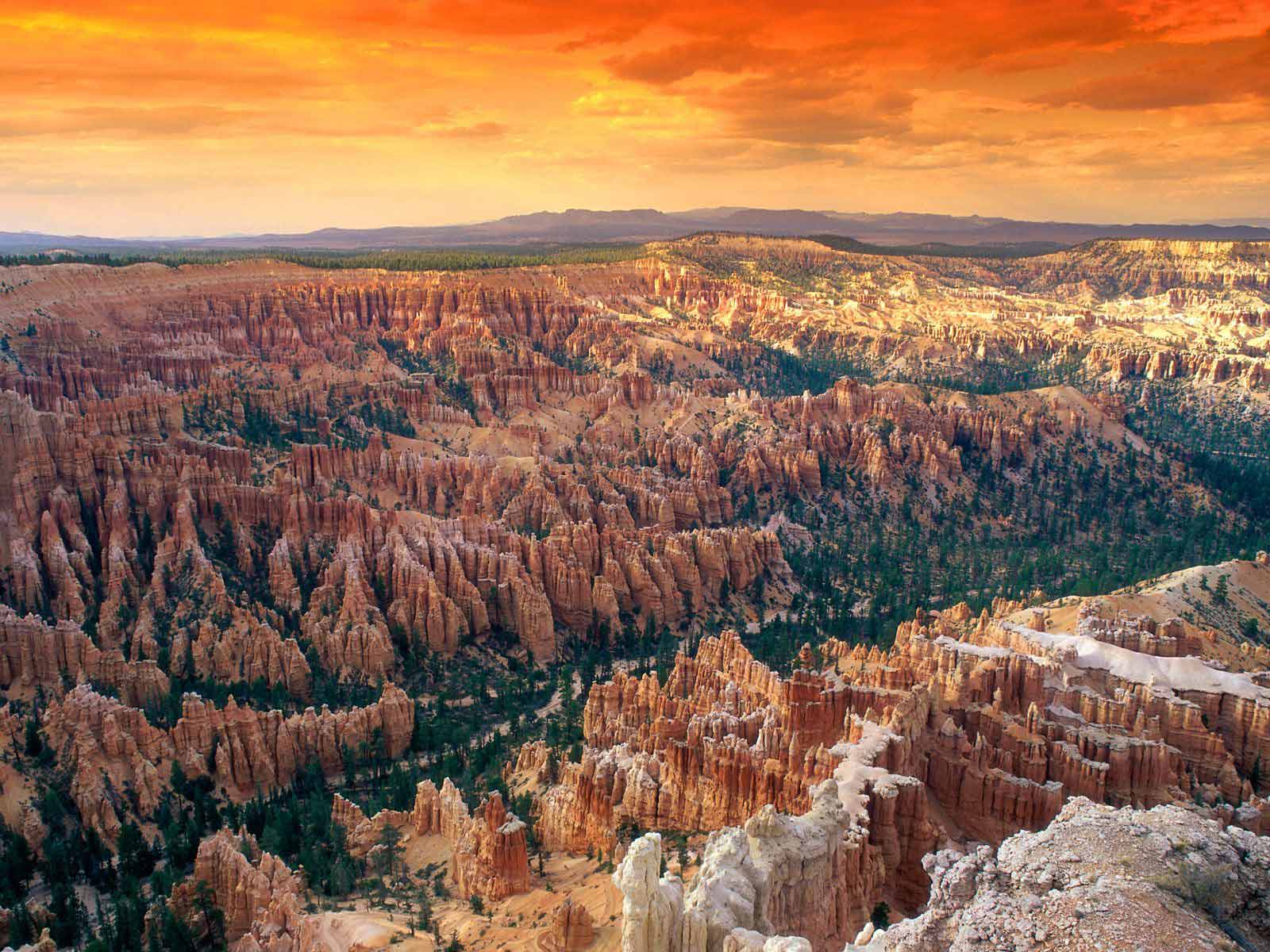 Dành riêng cho những ai yêu thích phong cảnh thiên nhiên, Utah Wallpaper Gallery là một kho tàng của những hình nền máy tính đẹp nhất về vùng đất Utah. Bộ sưu tập này bao gồm những tác phẩm của các nhiếp ảnh gia tài năng trên toàn thế giới và không ngừng được bổ sung để đem lại cho bạn những trải nghiệm tuyệt vời.