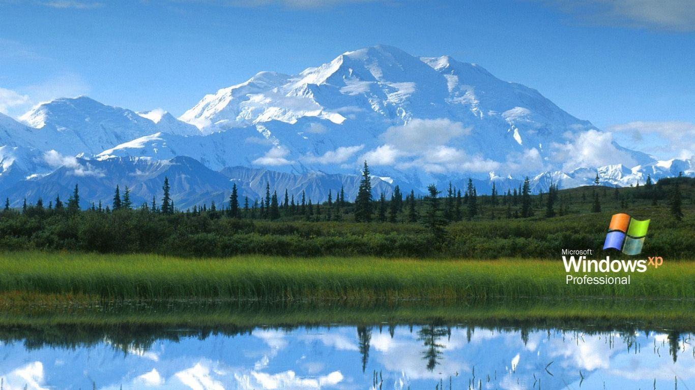 windows desktop wallpaper location xp Search Engine