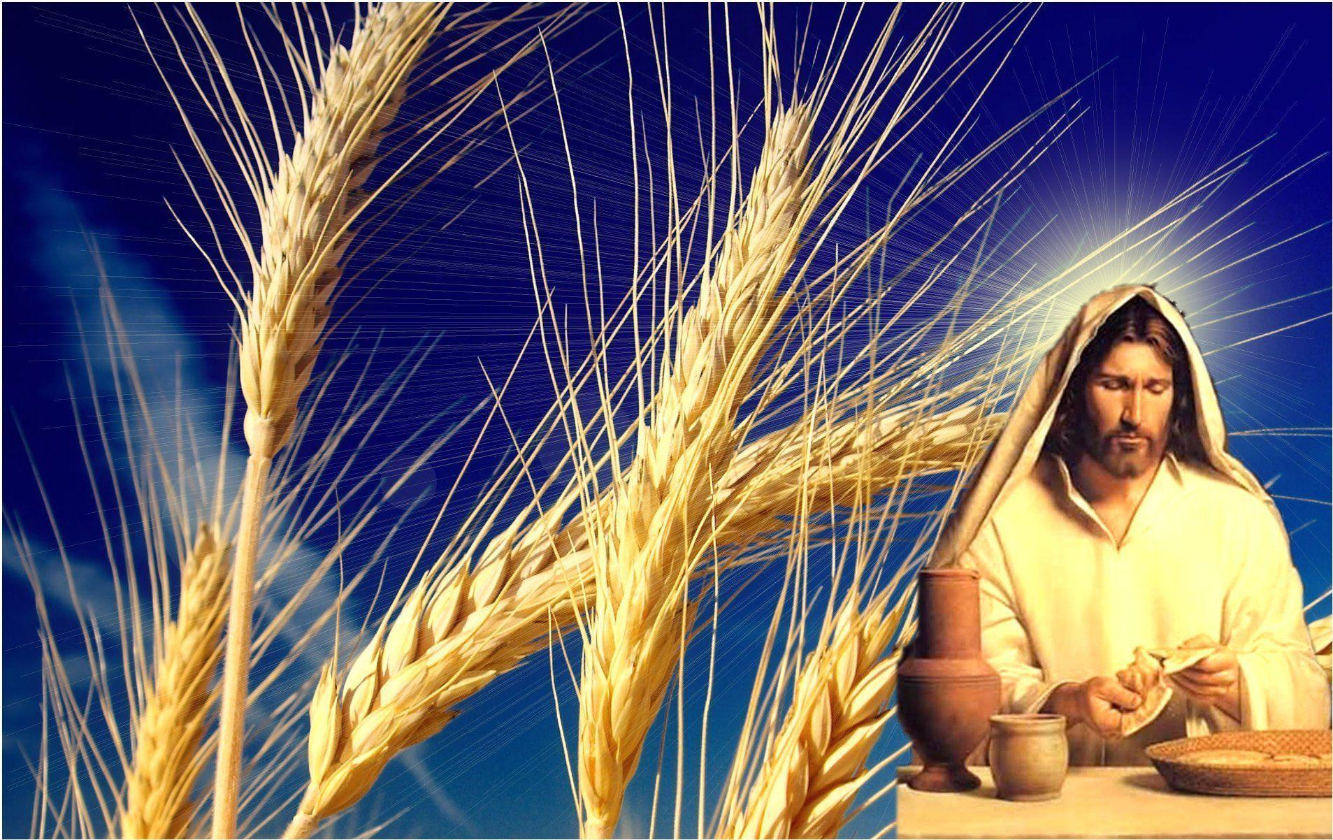 This Jesus Christ And Cross Great For Easter Theme