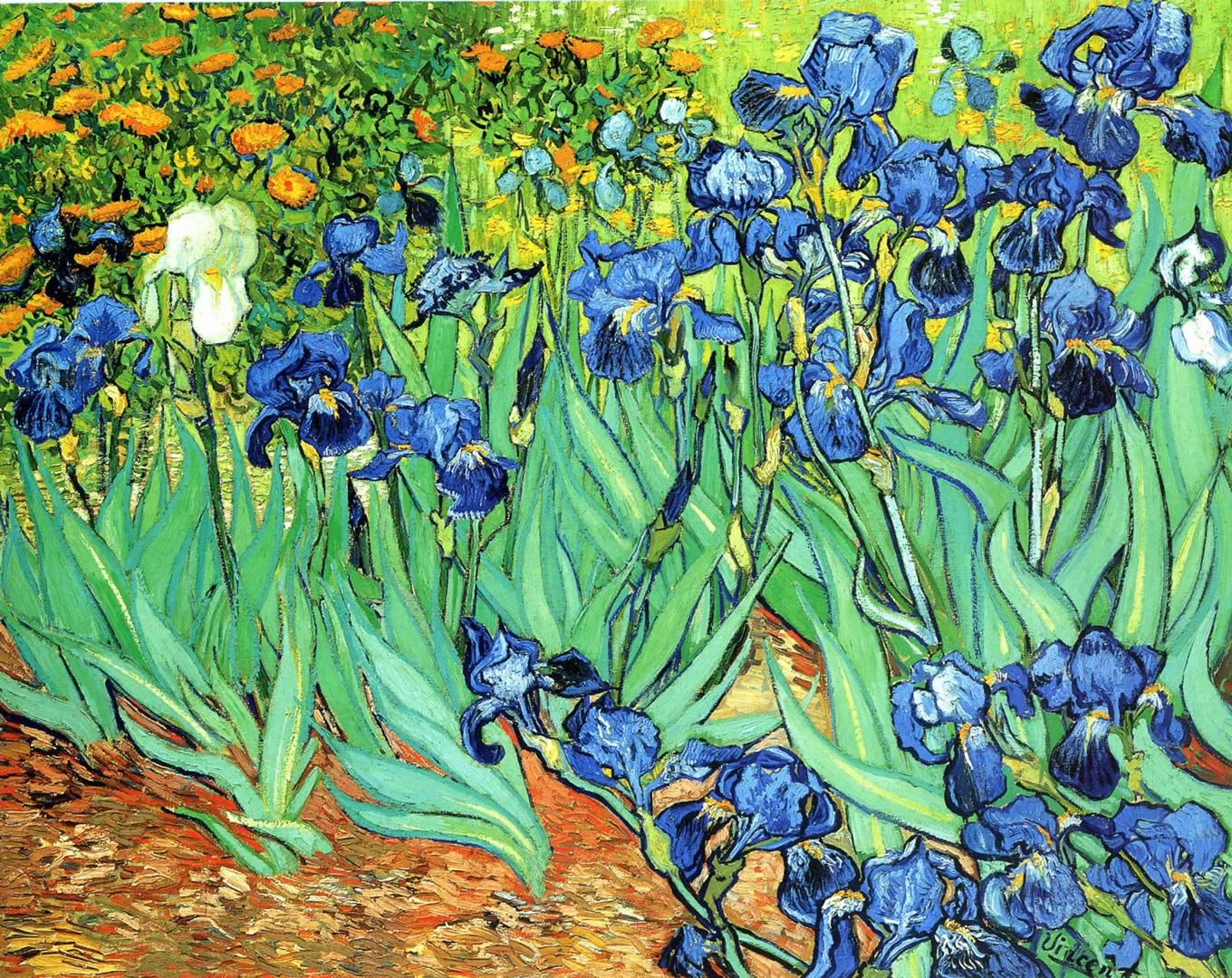 Irises Van Gogh Paintings Wallpaper Image