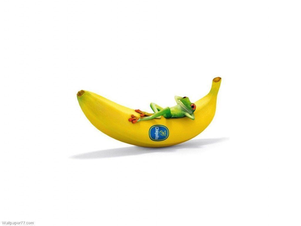 Chiquita With Frog Funny, 1024x768 pixels, Wallpaper tagged Cute