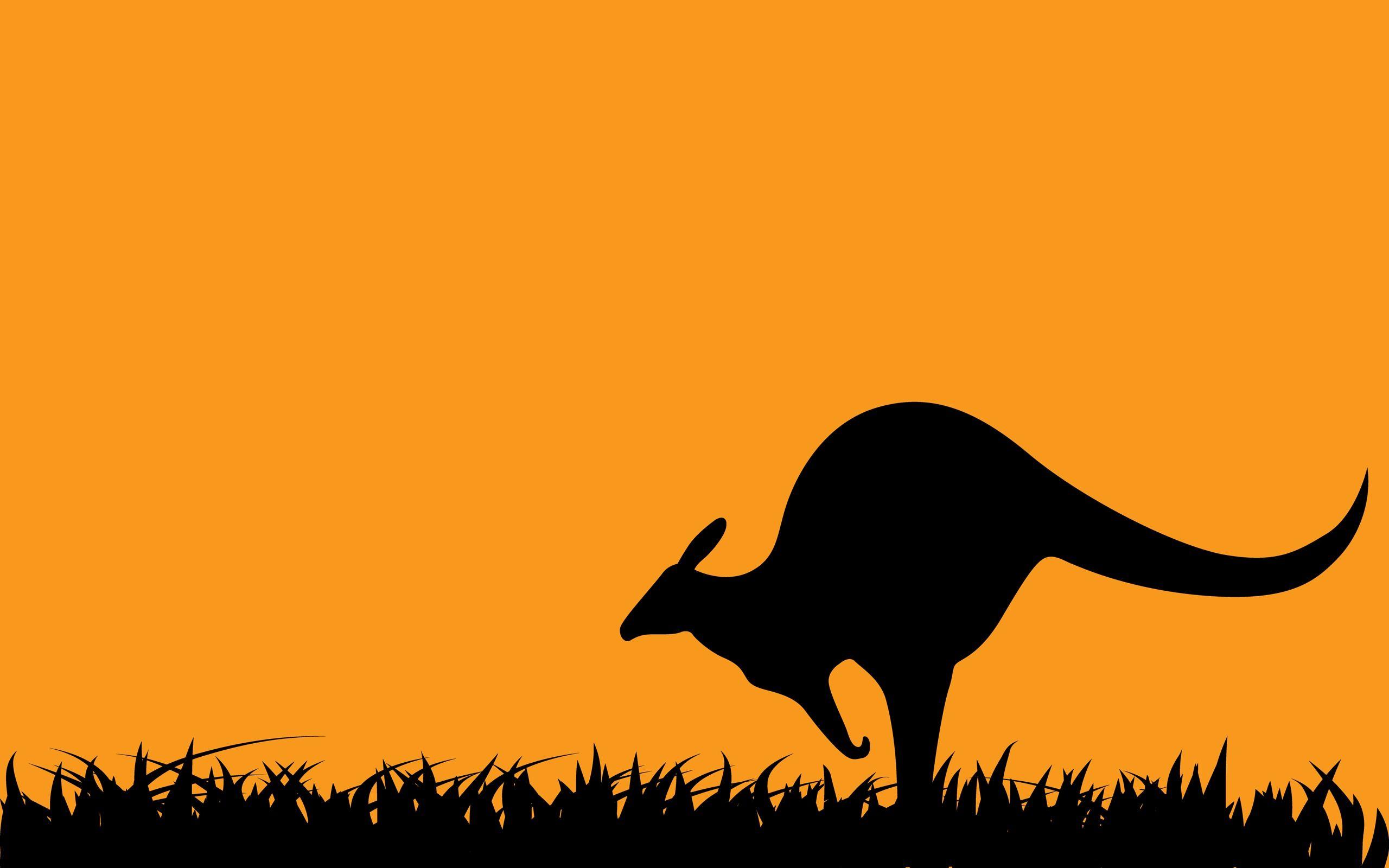 Art Kangaroo Wallpaper