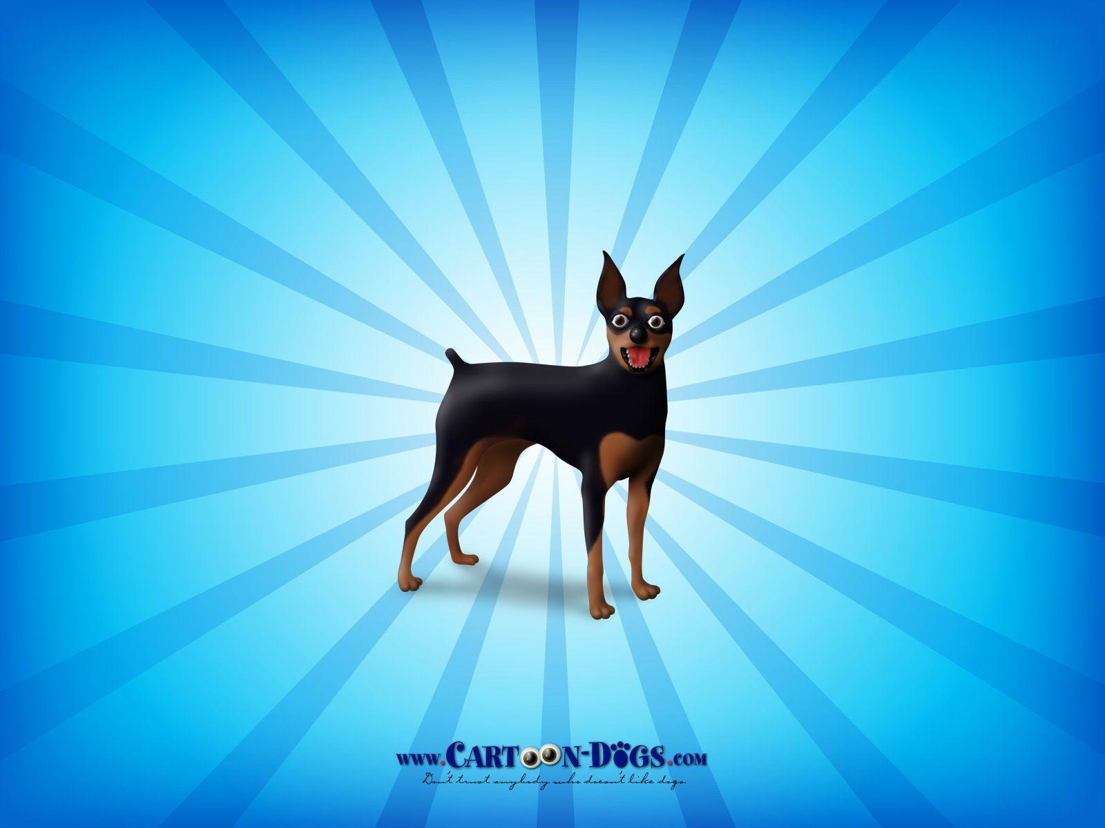 Min Pin Wallpapers Wallpaper Cave Min Pin Wallpapers Wallpaper Cave