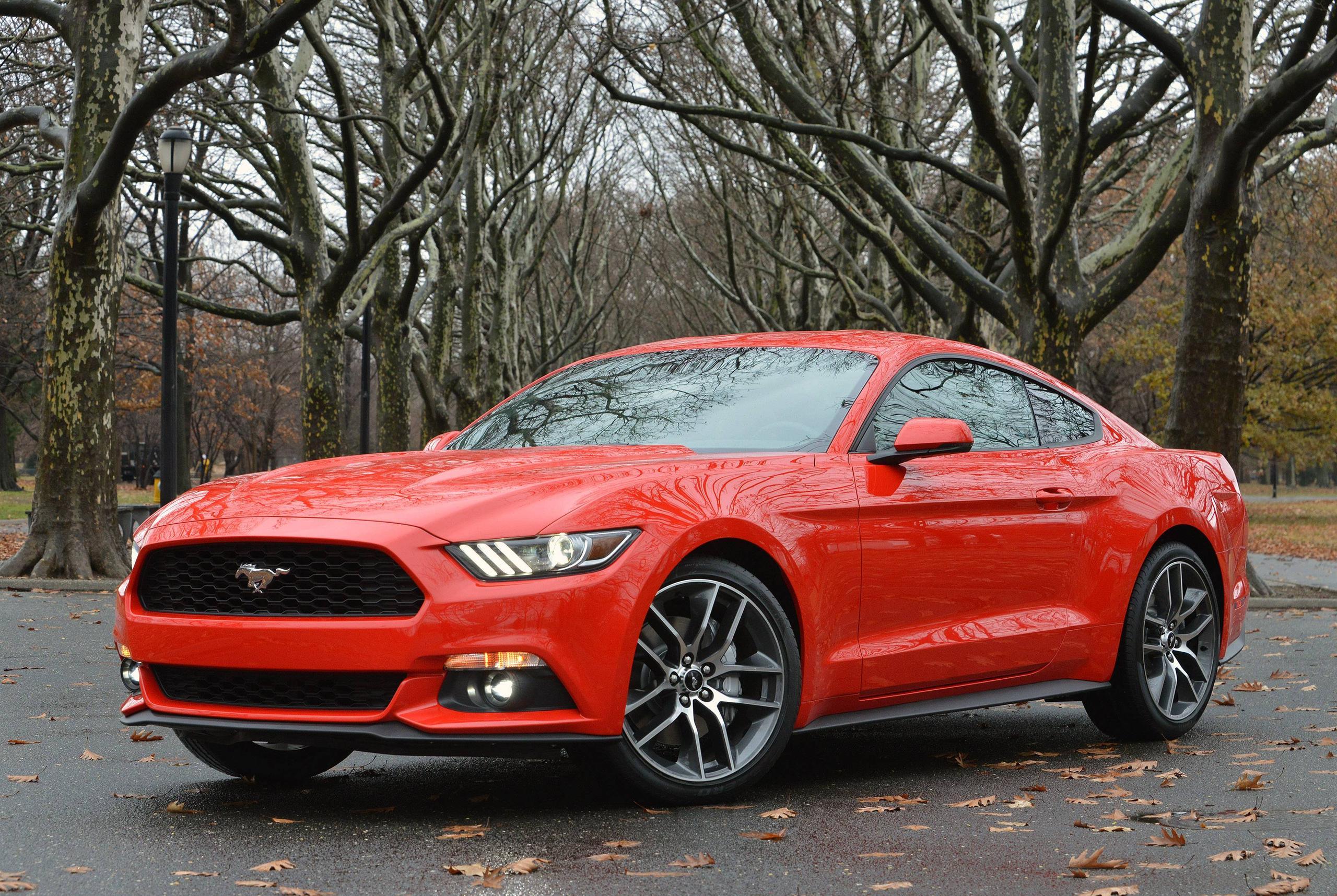 Nothing found for Mustang 2015 HD Background Wallpaper 100 HD