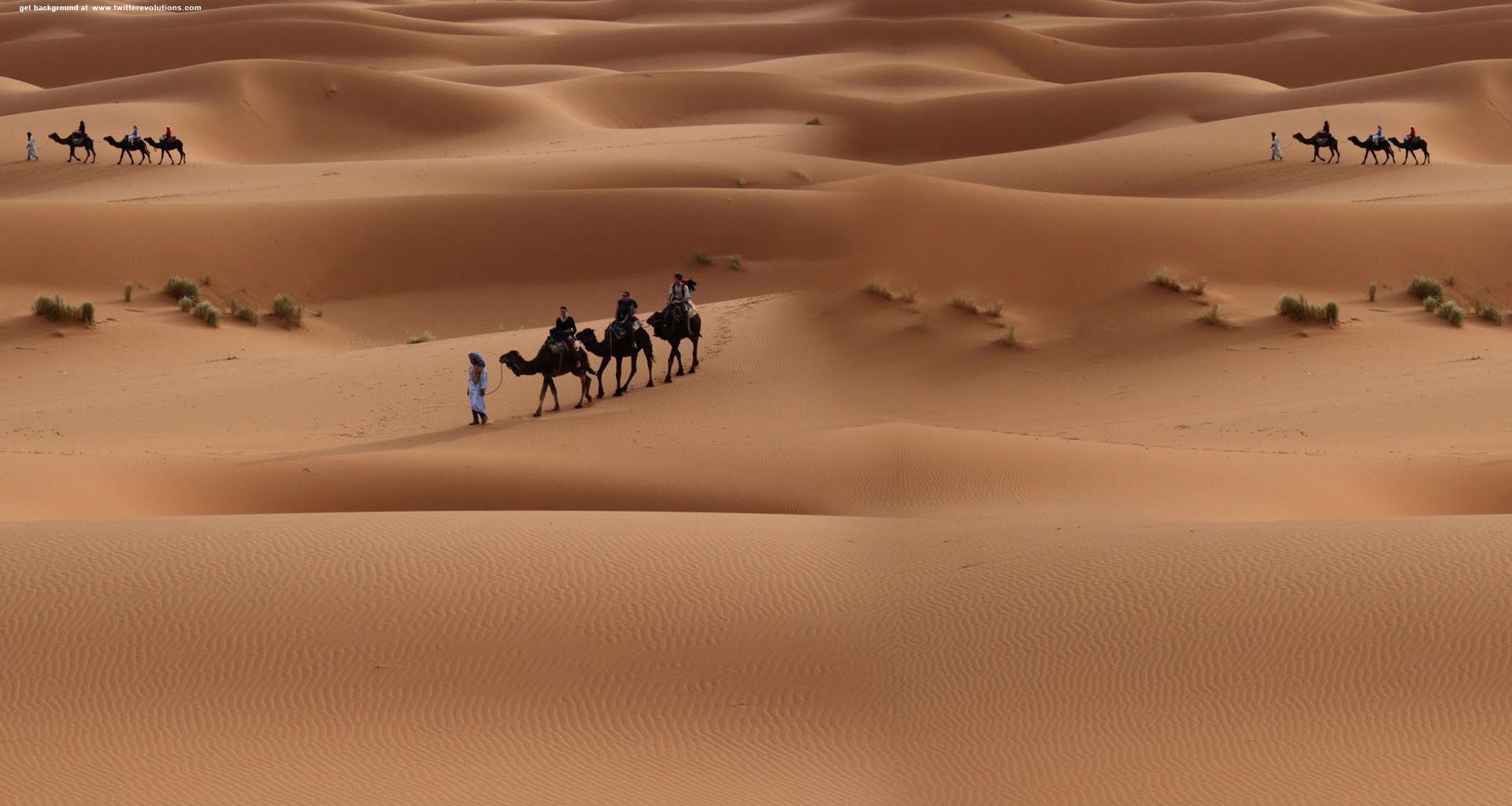 A walk in the desert Twitter background. Twitter background